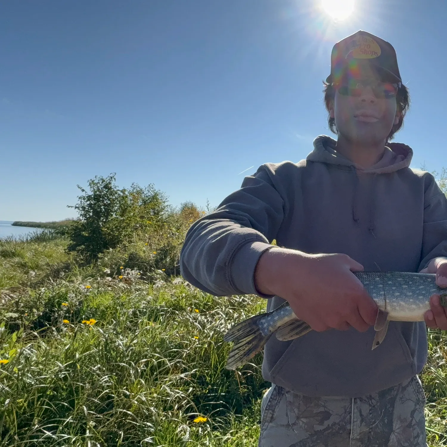 Northern pike caught on Fishbrain