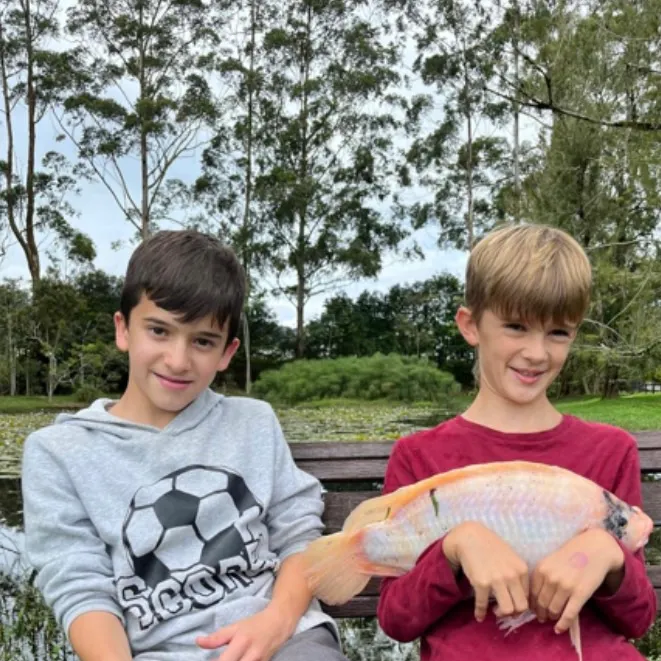The most recent Red tilapia catches on Fishbrain