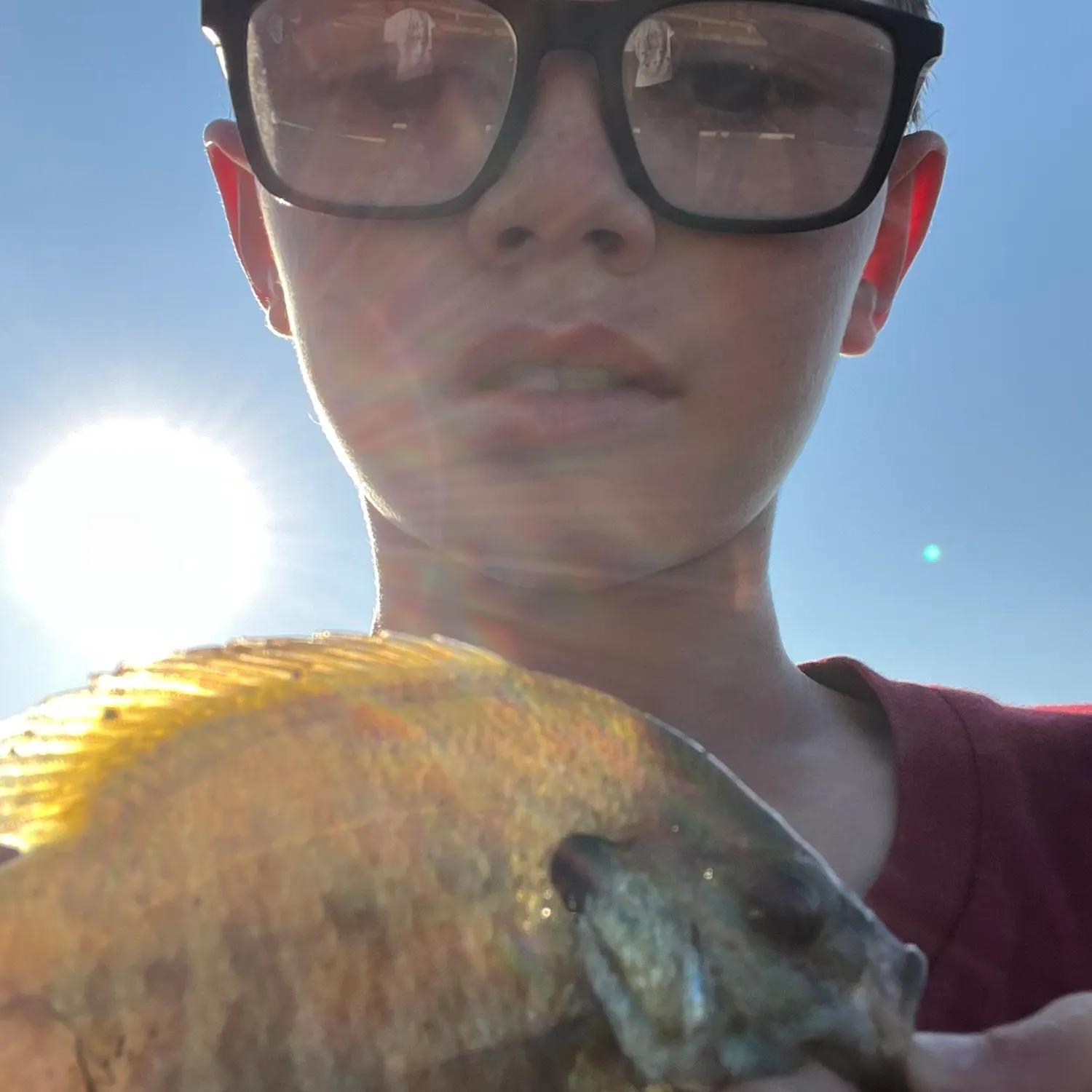 Bluegill caught on Fishbrain