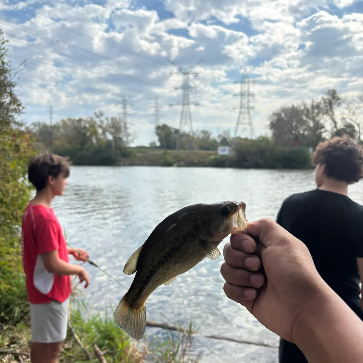 catch