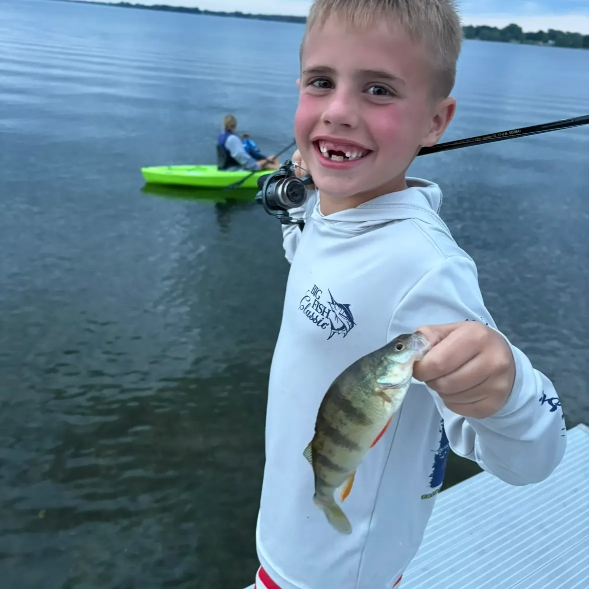 Yellow perch caught on Fishbrain