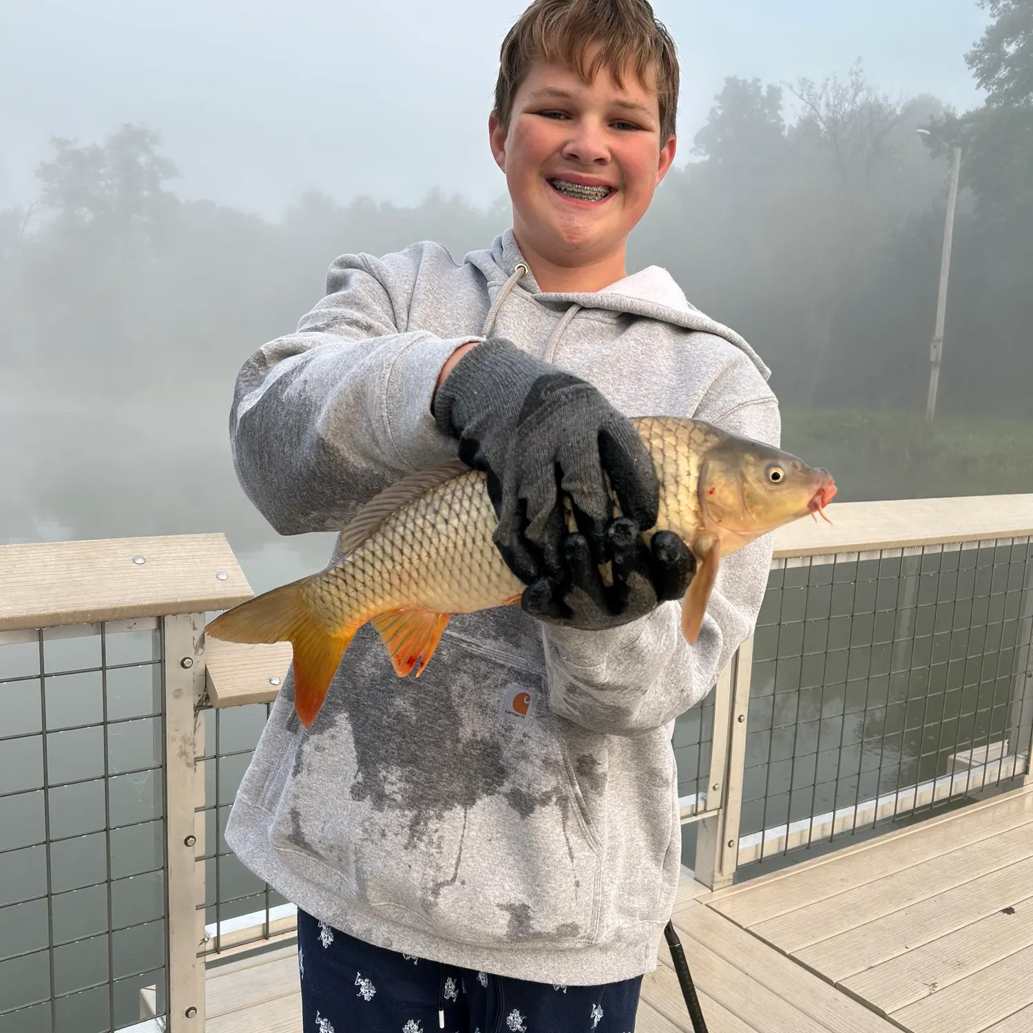 Common carp caught on Fishbrain