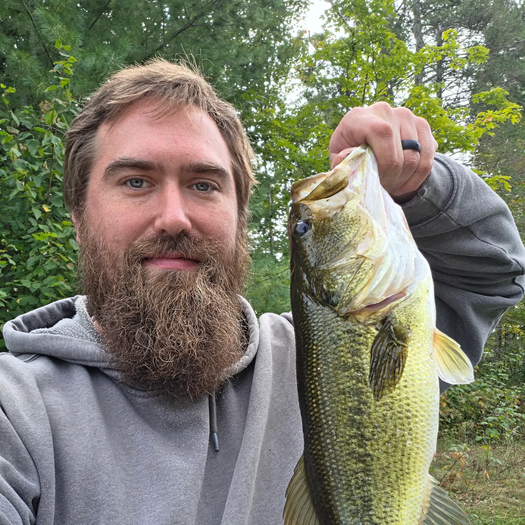 Largemouth bass caught on Fishbrain