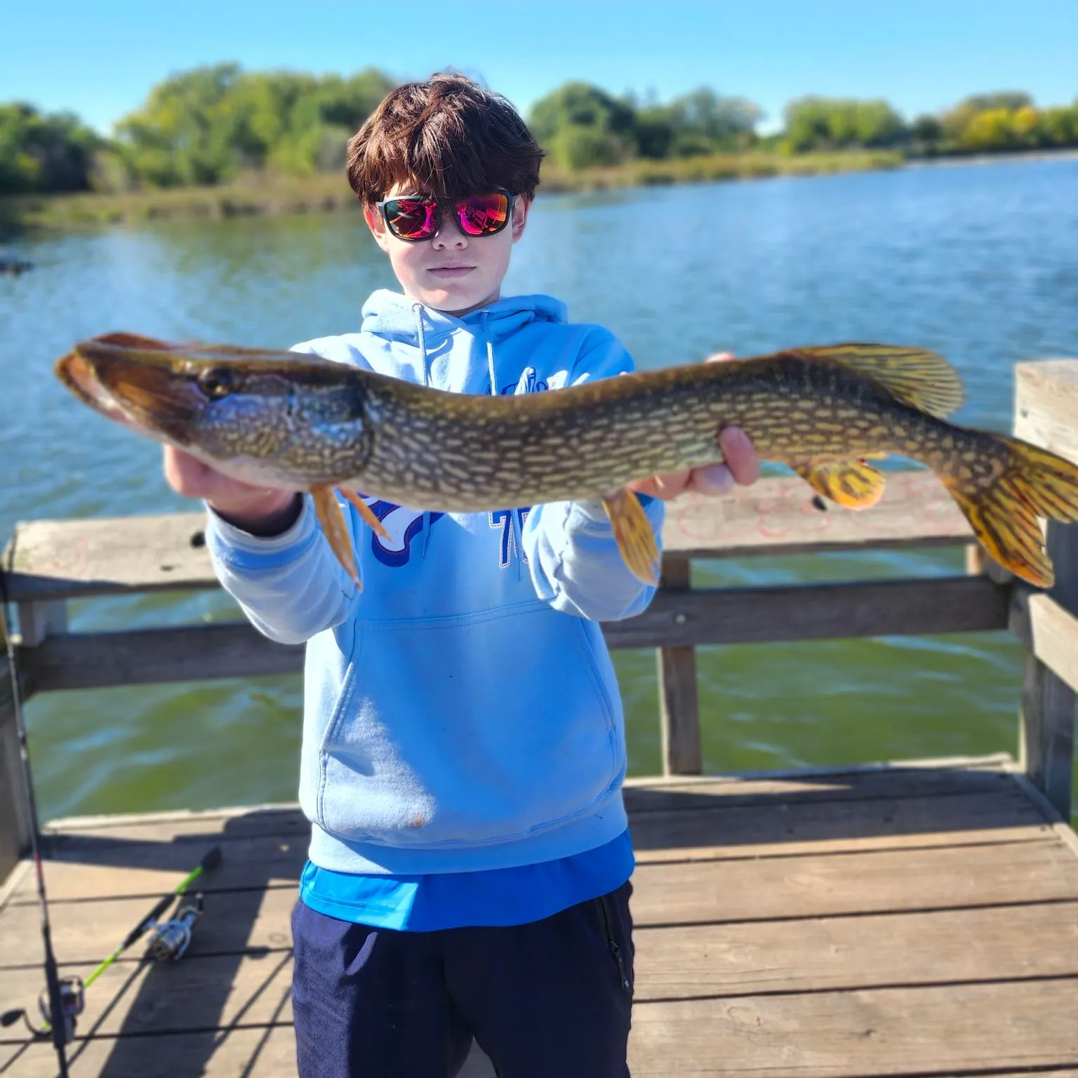 Northern pike caught on Fishbrain