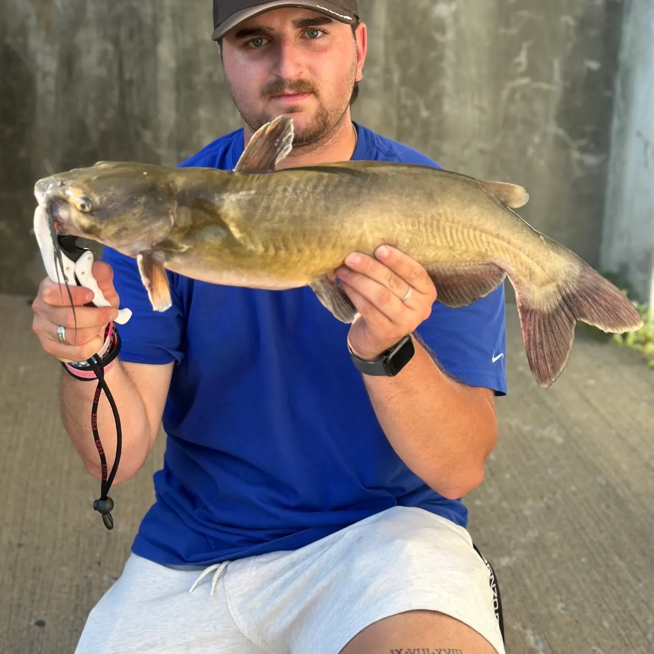 Channel catfish caught on Fishbrain