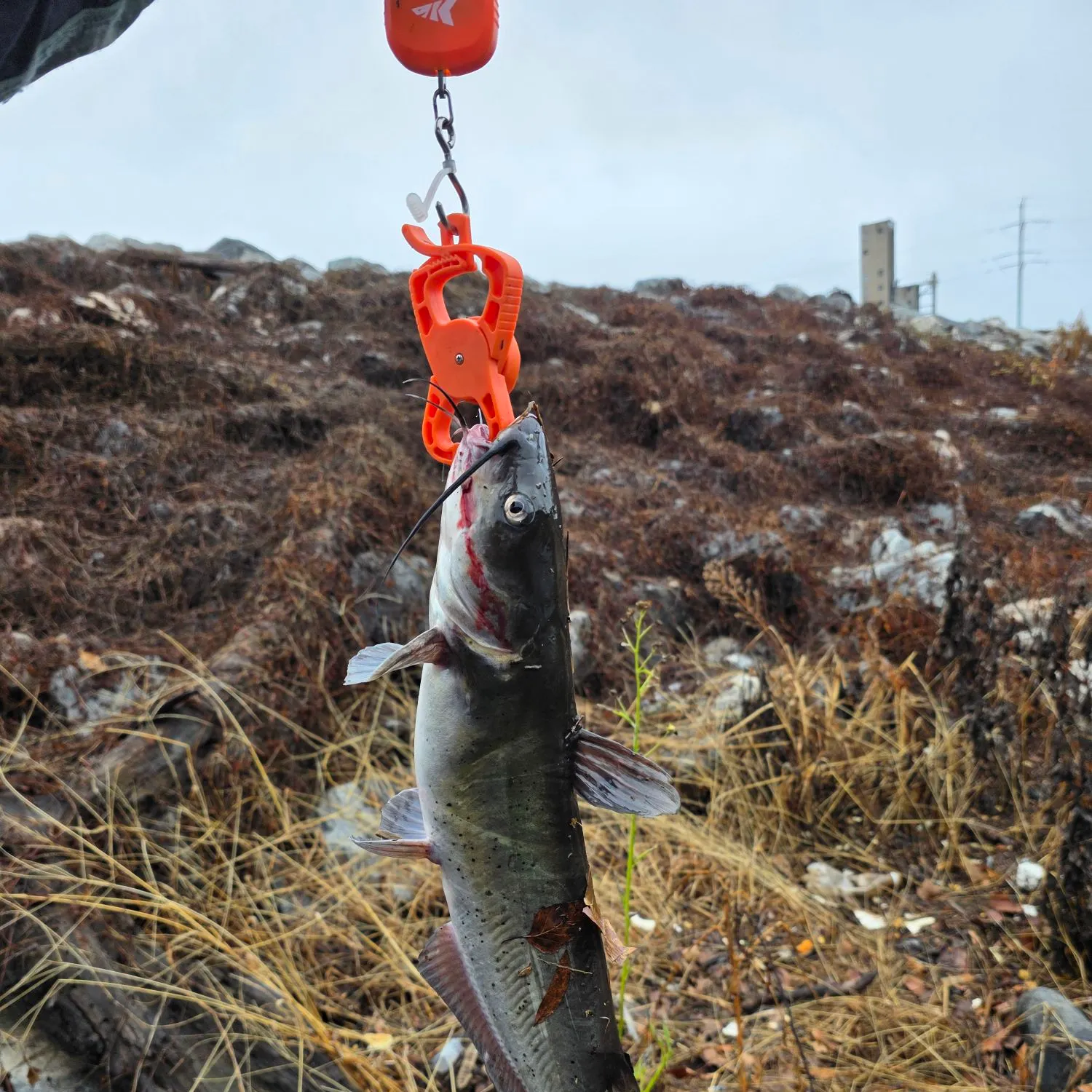 catch