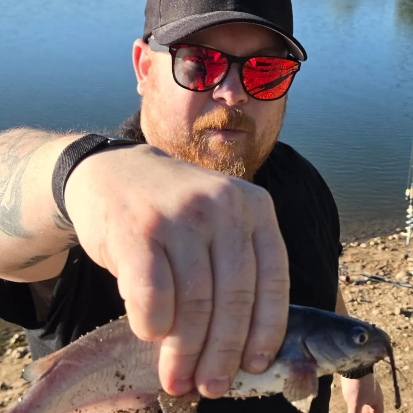 Channel catfish caught on Fishbrain