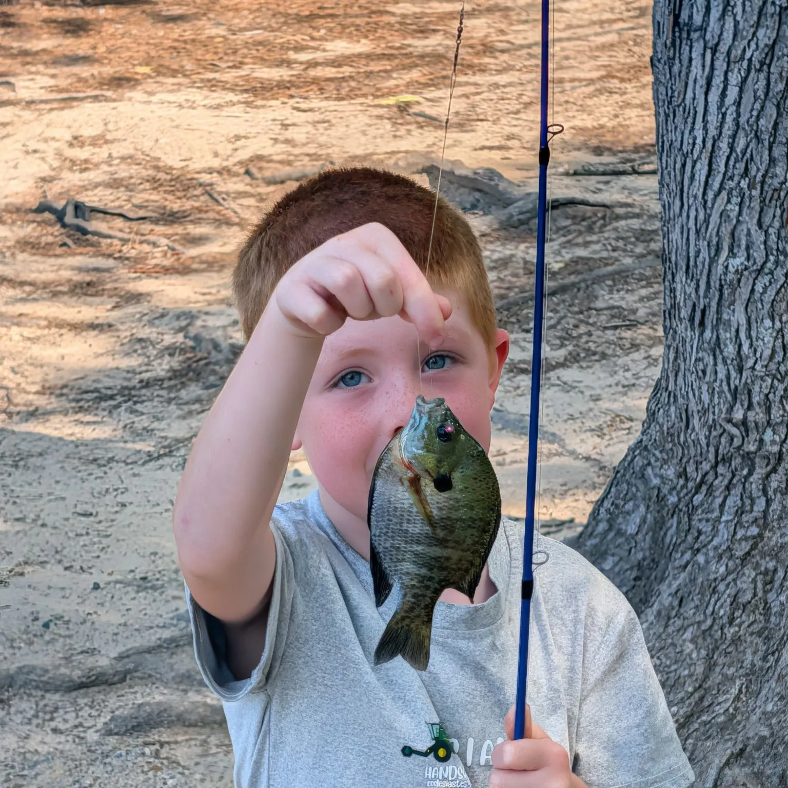 Bluegill caught on Fishbrain