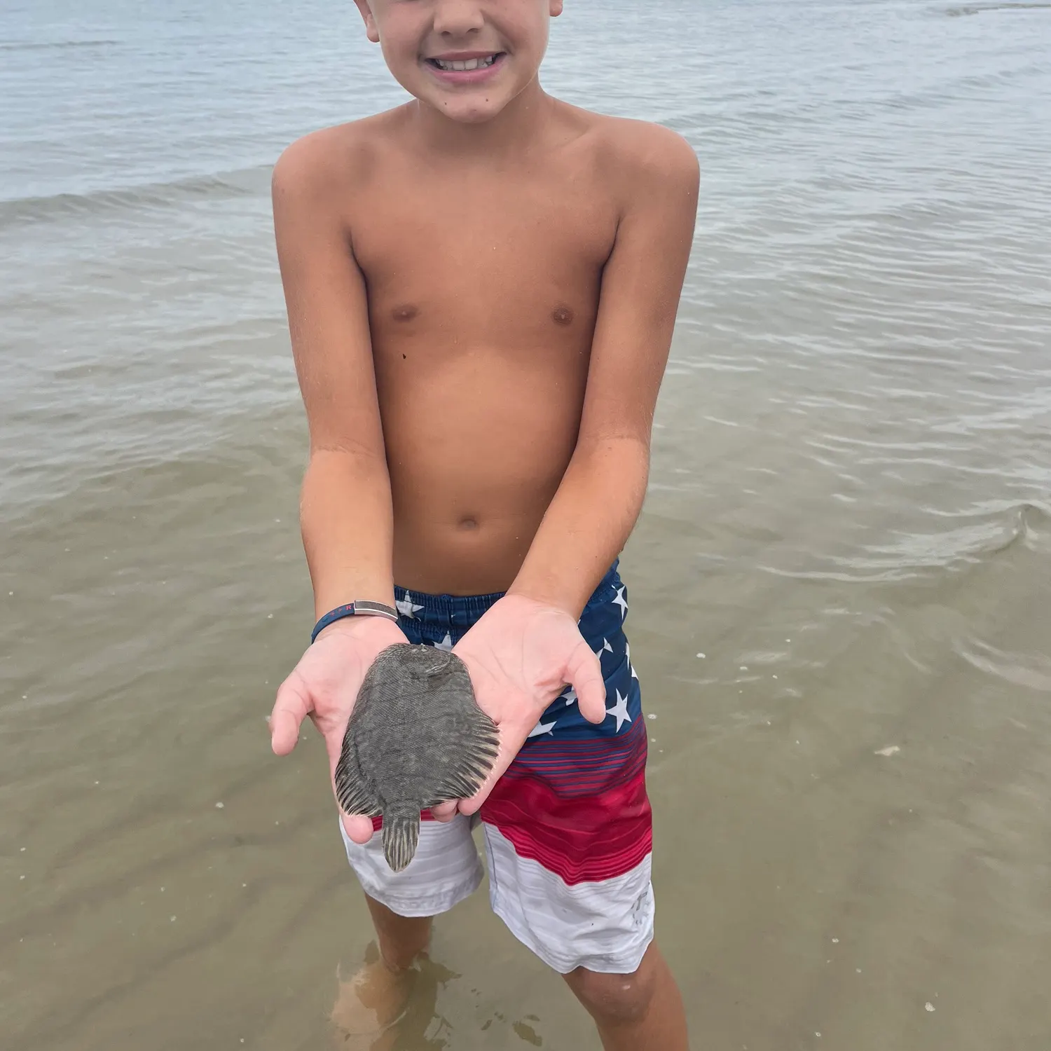 The most recent Windowpane flounder catches on Fishbrain