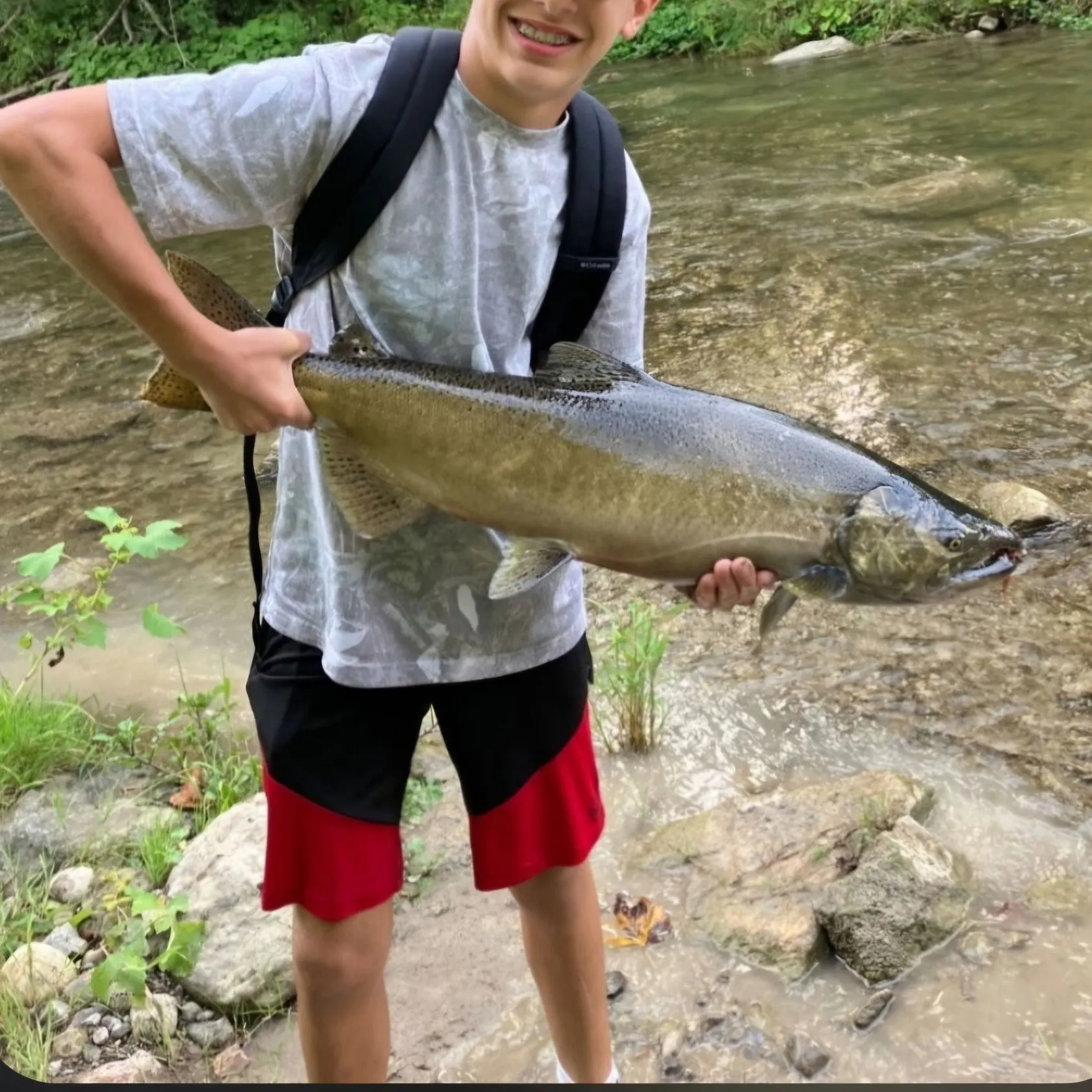 Chinook salmon caught on Fishbrain
