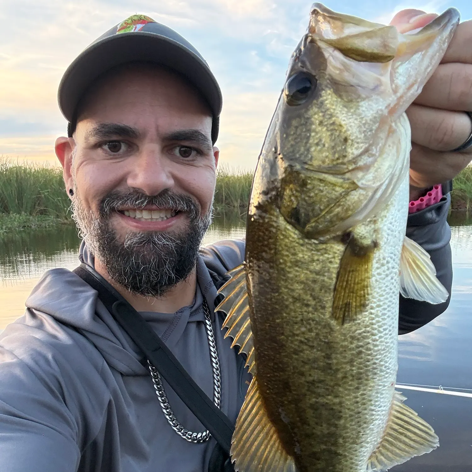 Largemouth bass caught on Fishbrain