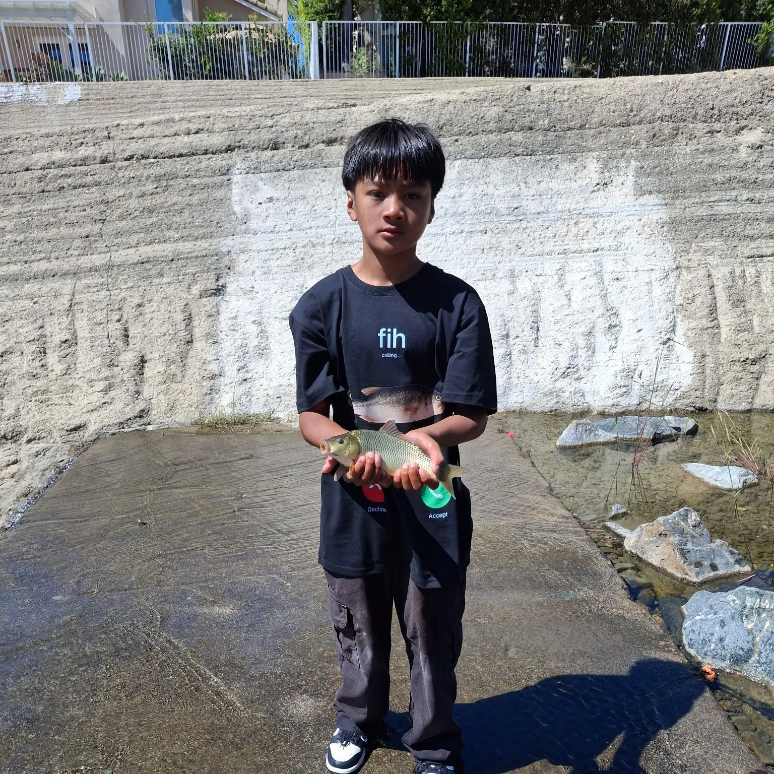 Common carp caught on Fishbrain
