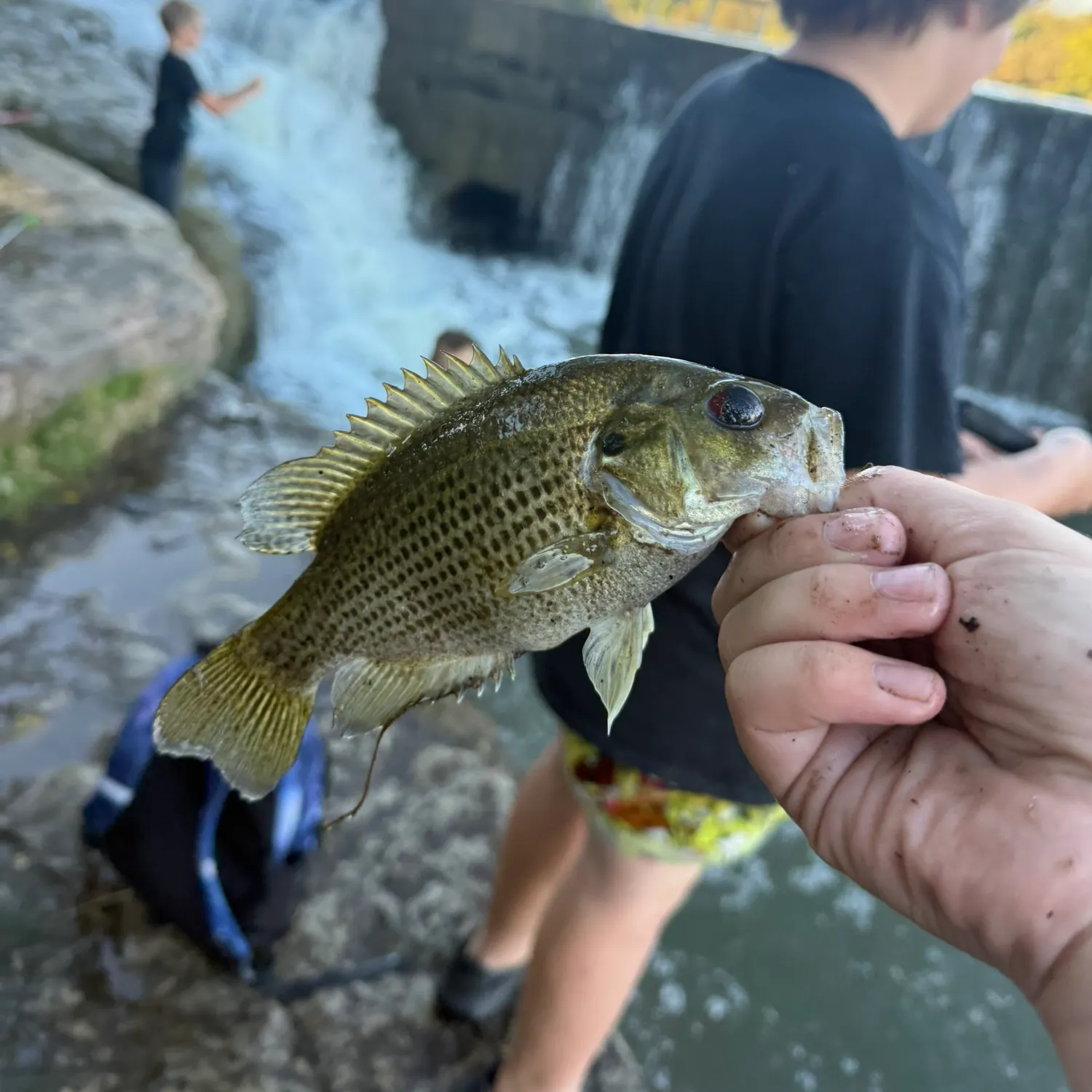 catch
