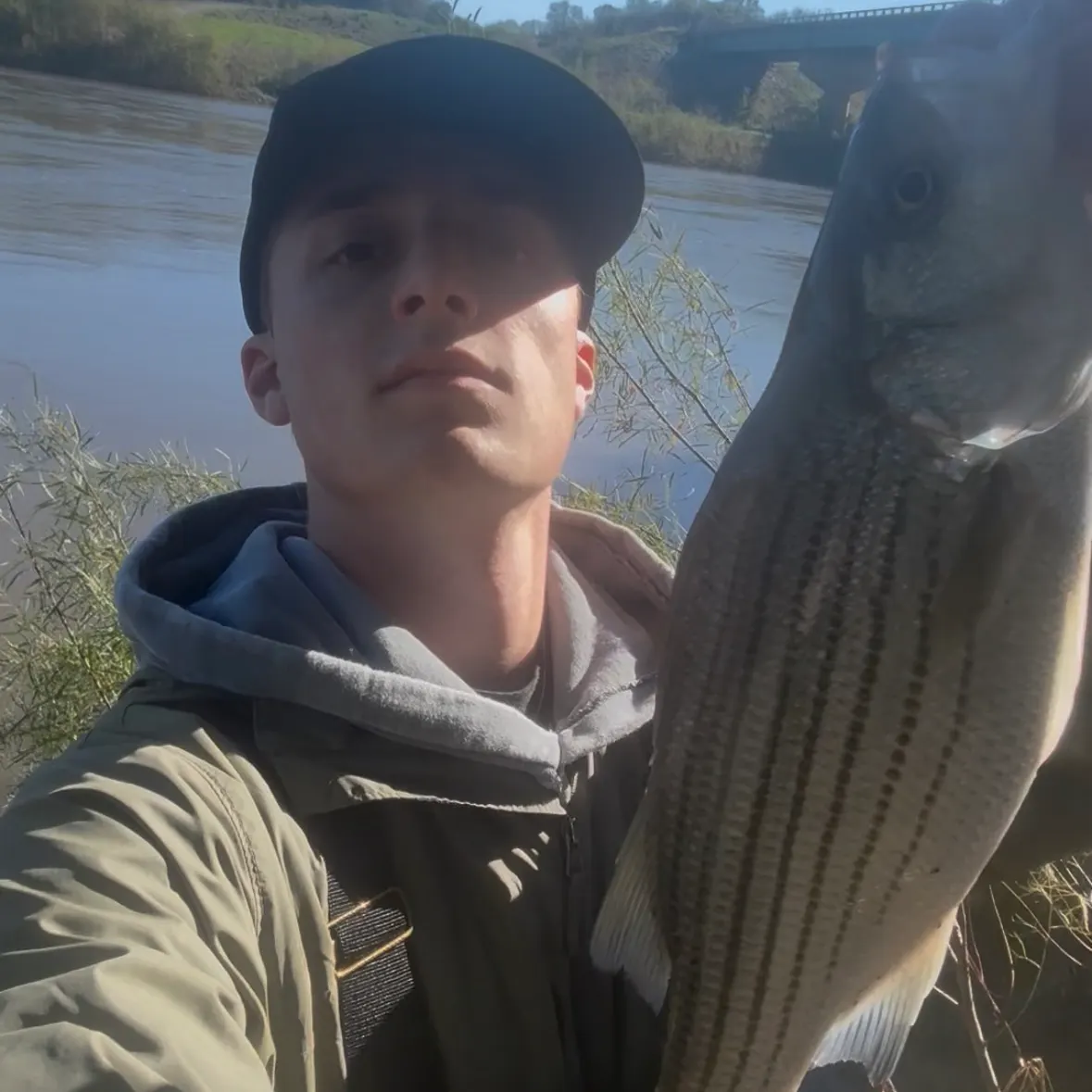 Wiper caught on Fishbrain
