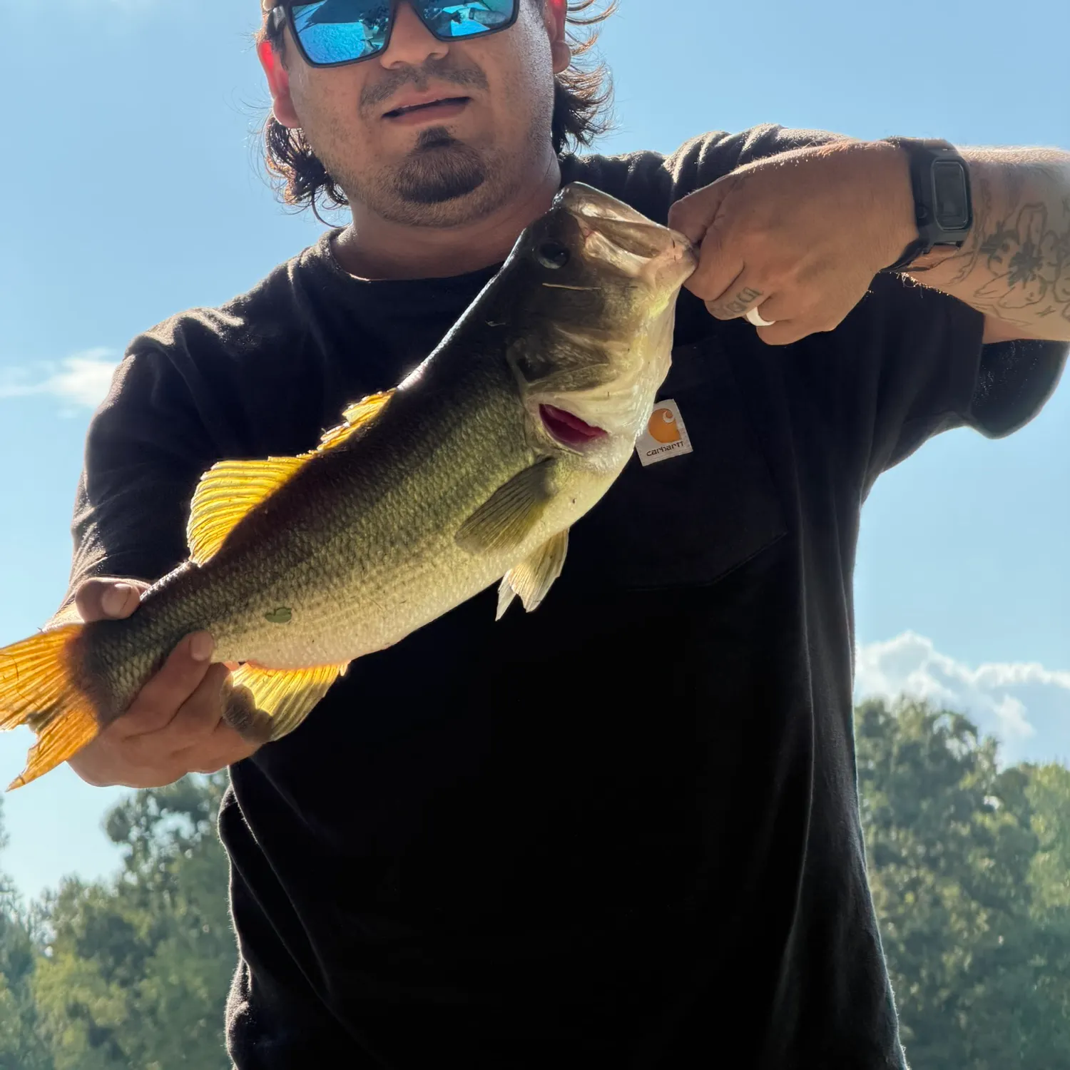 Largemouth bass caught on Fishbrain