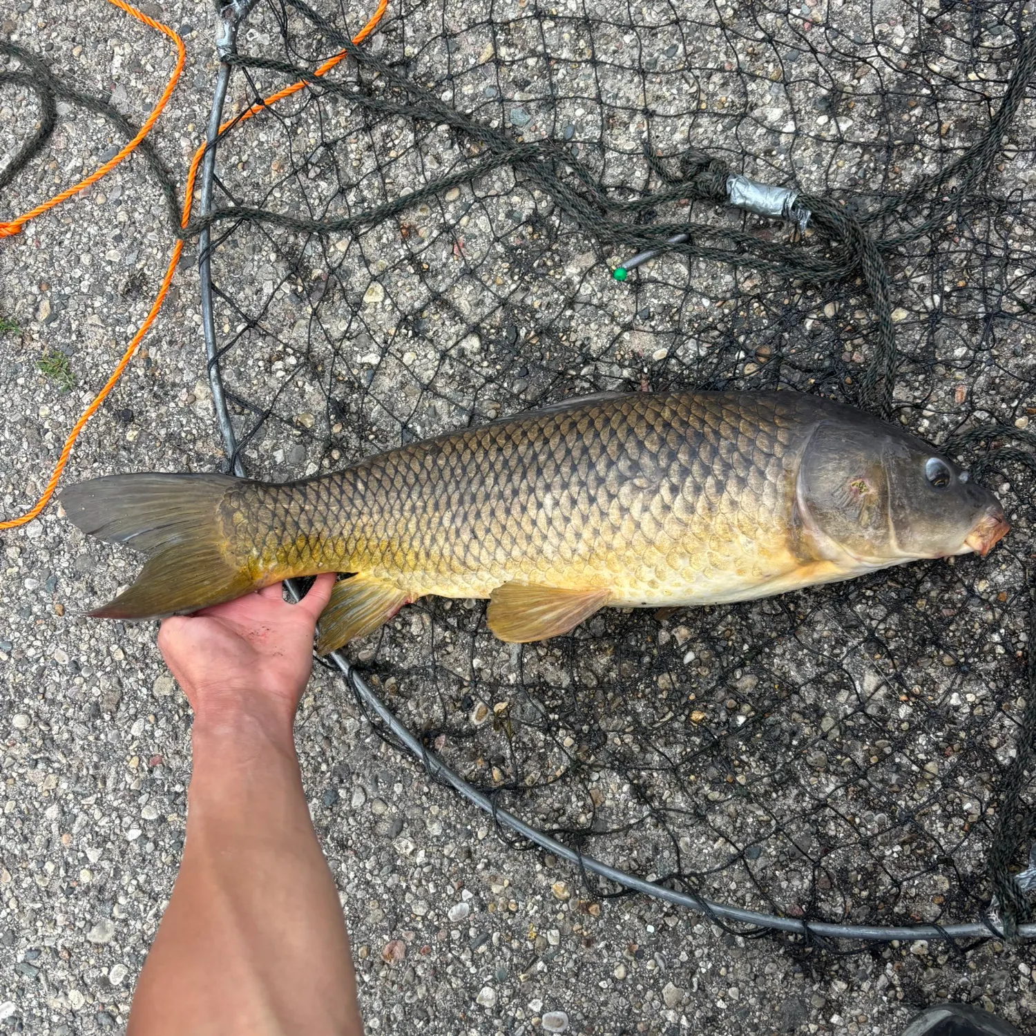 catch