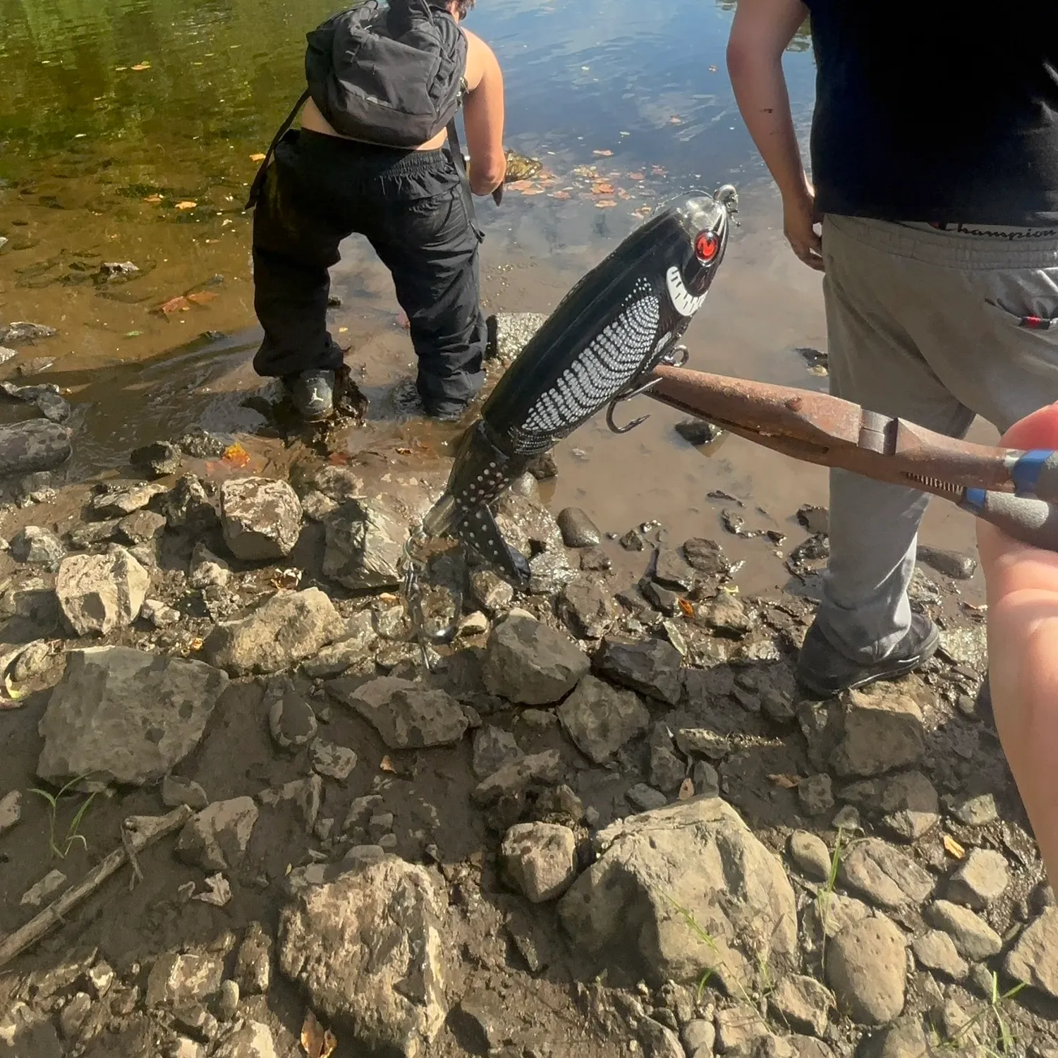 catch