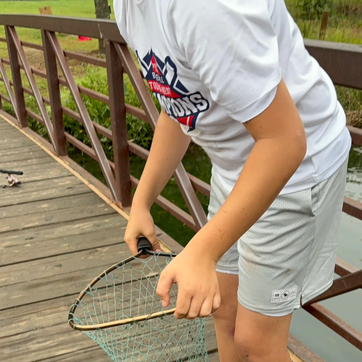 Common snapping turtle caught on Fishbrain