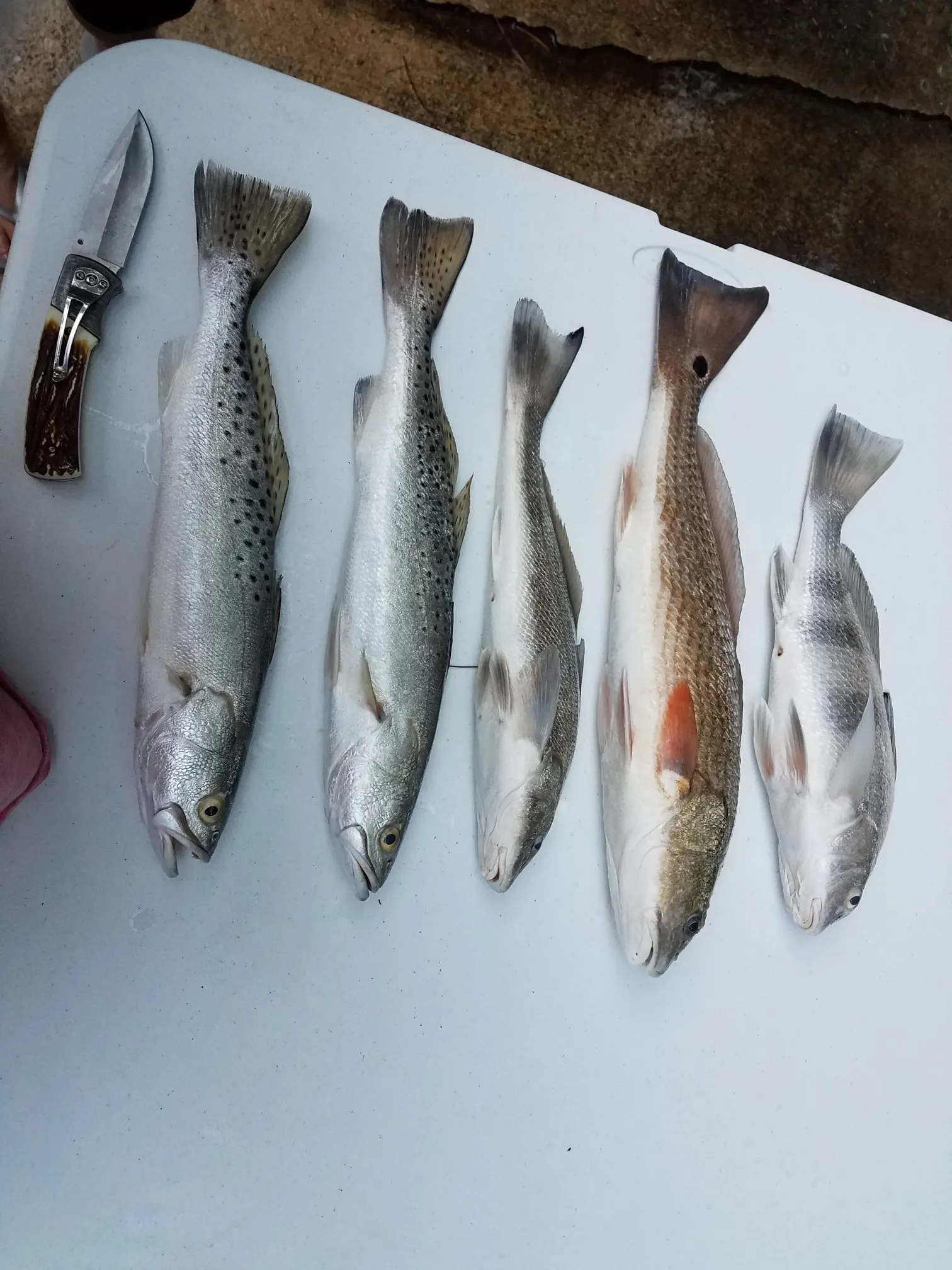 Post image from dduff3323