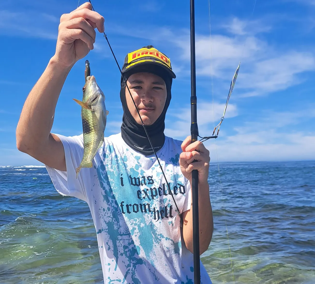 Blue-throated wrasse