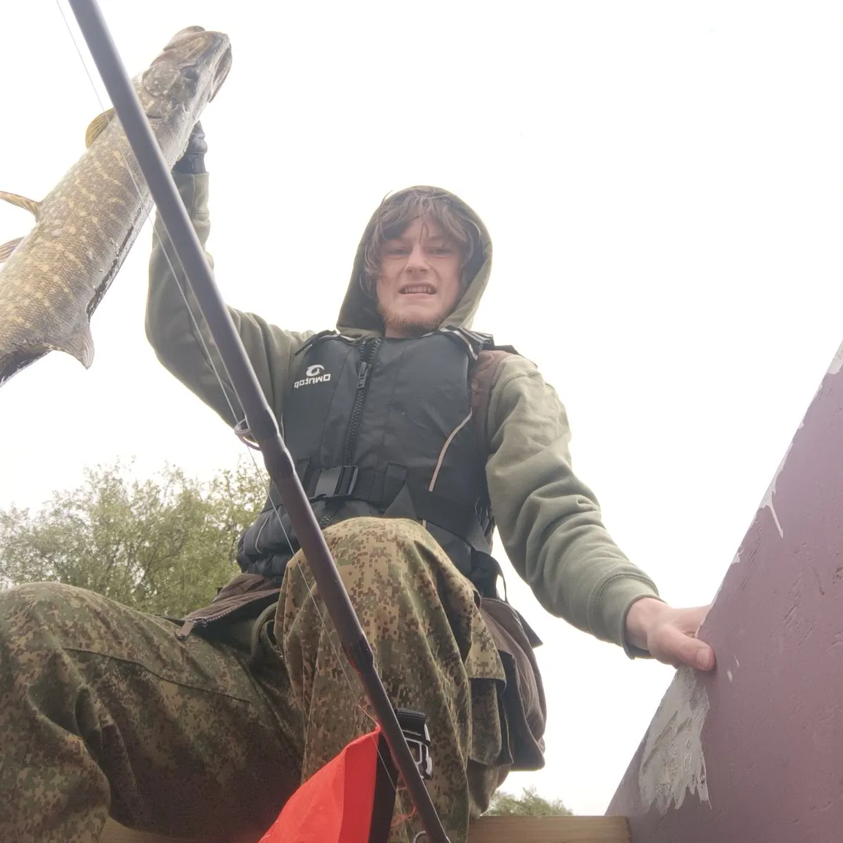 Northern pike caught on Fishbrain