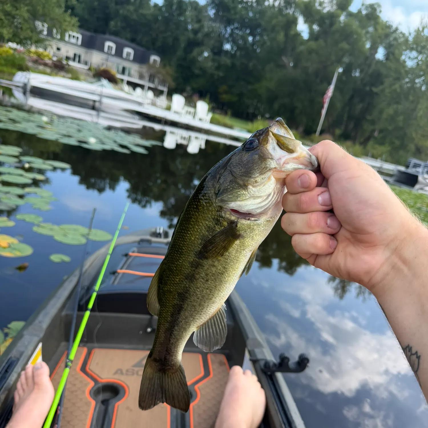 catch