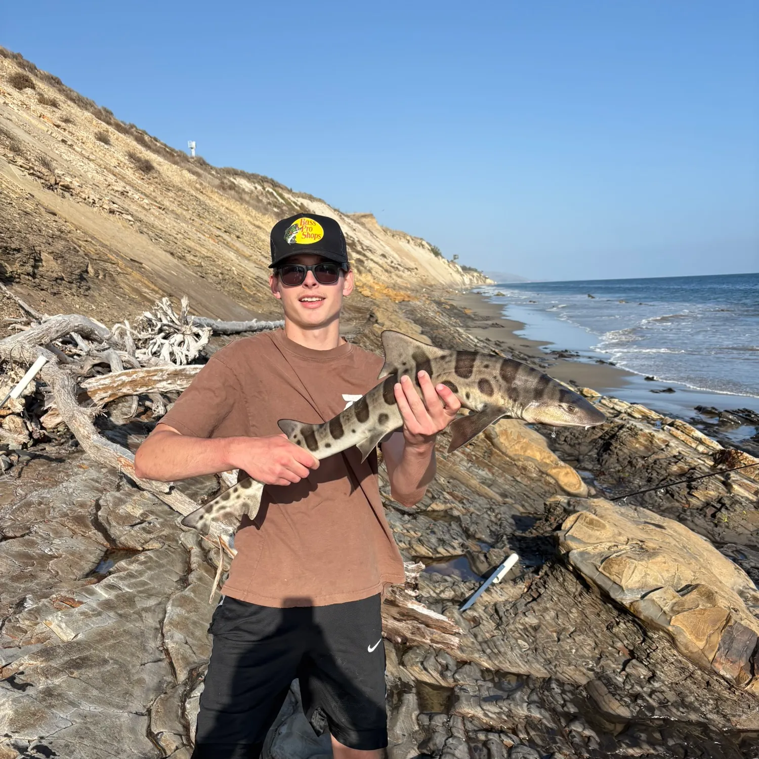 Leopard shark caught on Fishbrain