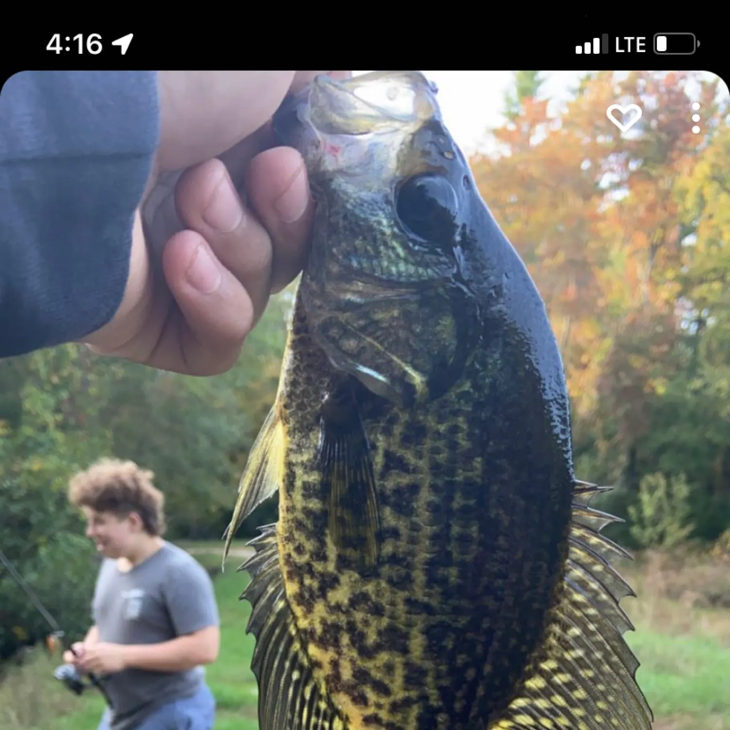 recently logged catches