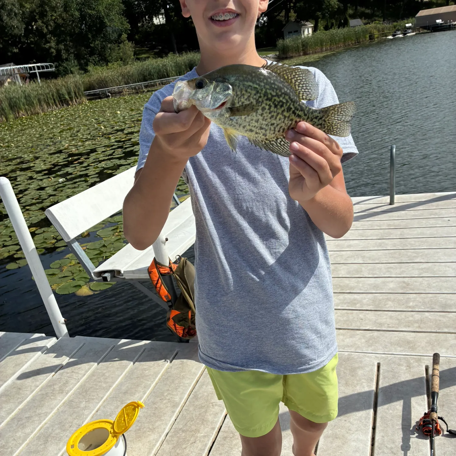 Black crappie caught on Fishbrain