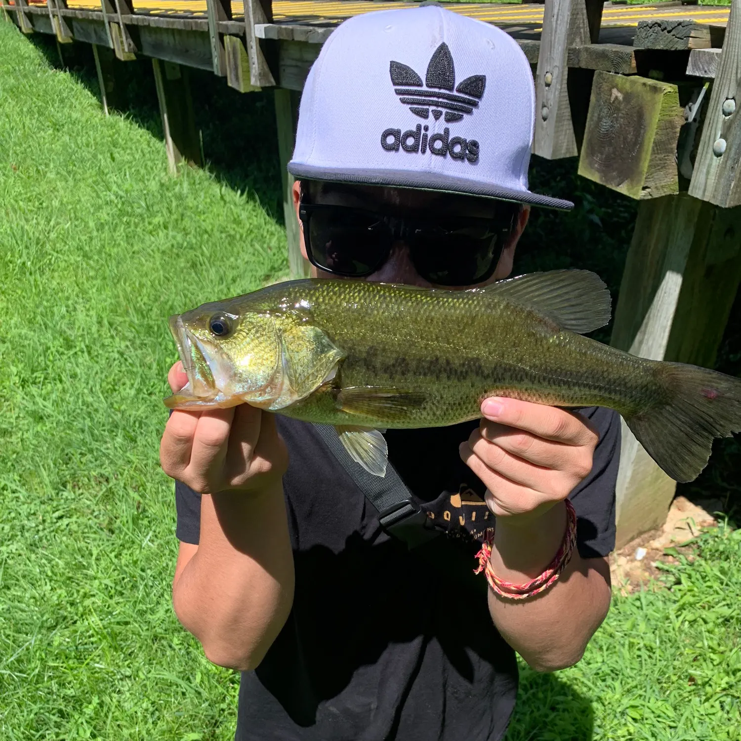 angler catch