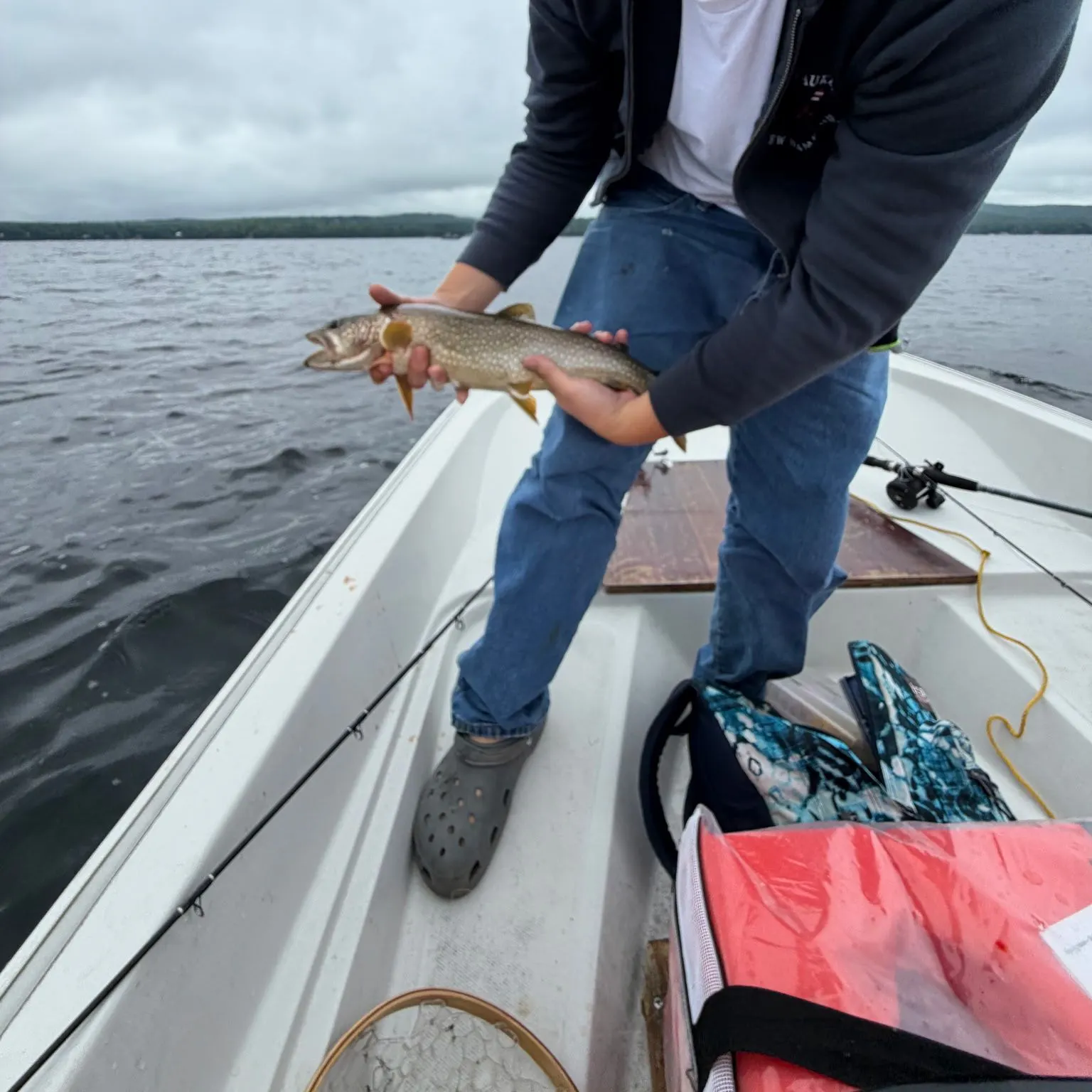 The most recent Lake char catches on Fishbrain