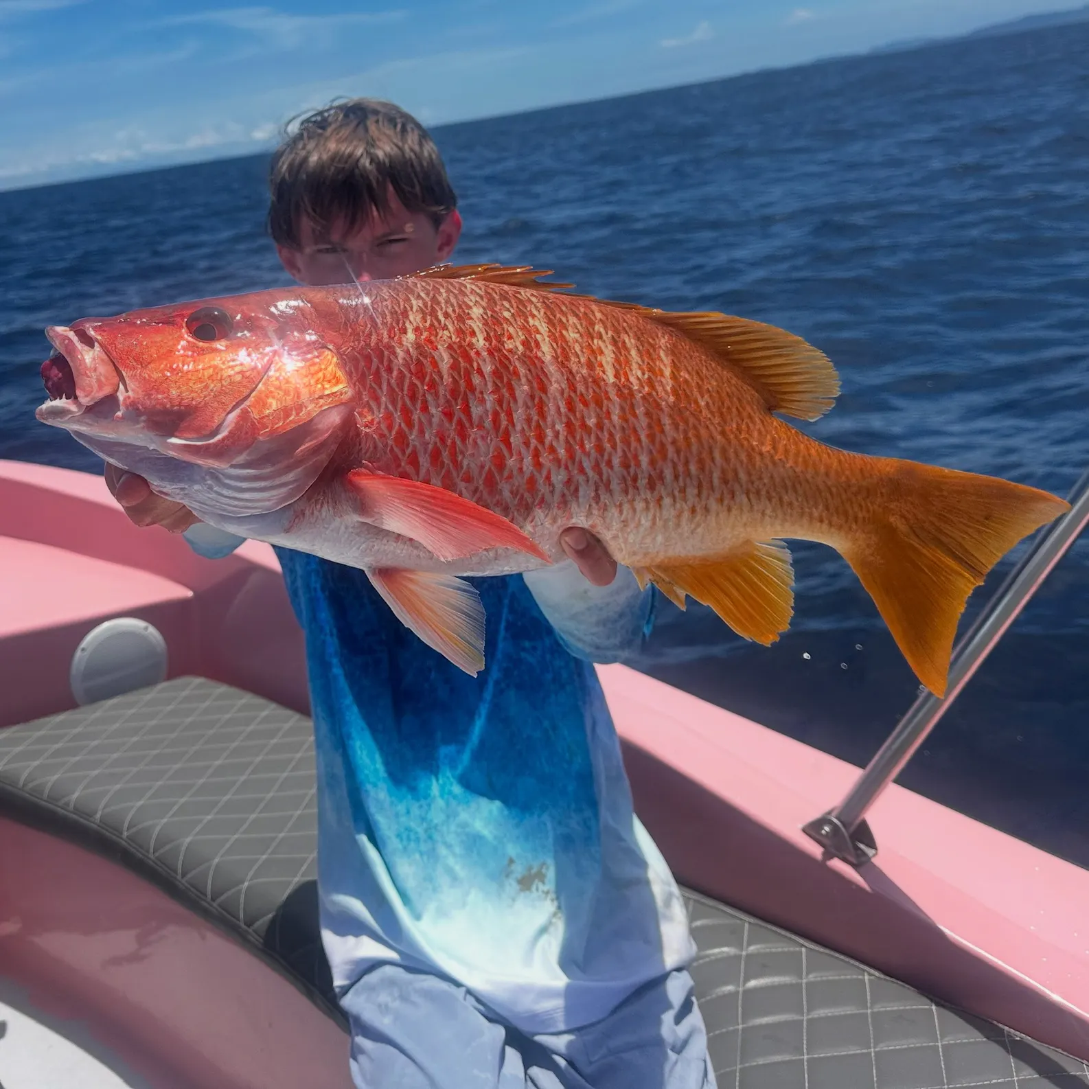 The most recent Yellow snapper catches on Fishbrain