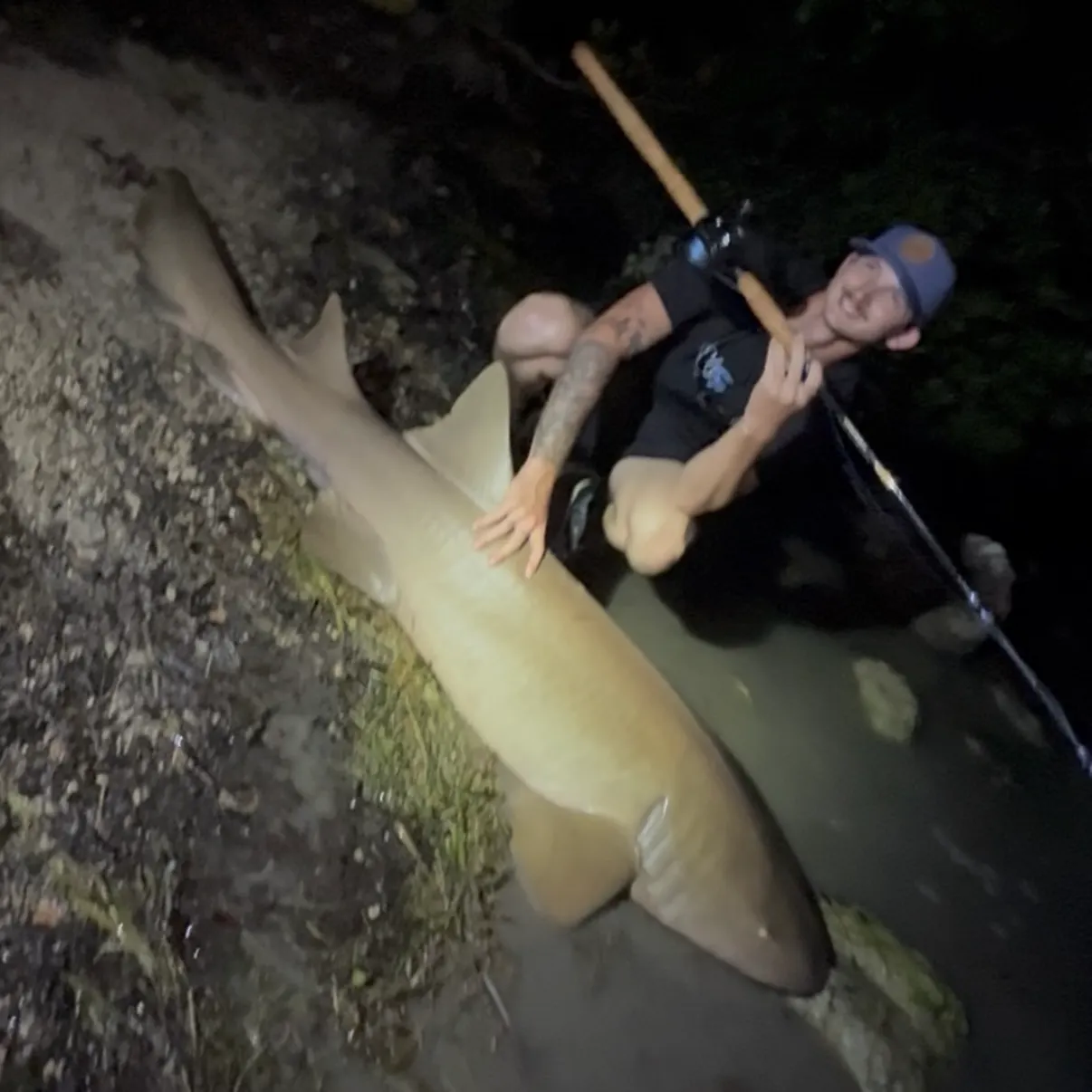 The most recent Nurse shark catches on Fishbrain