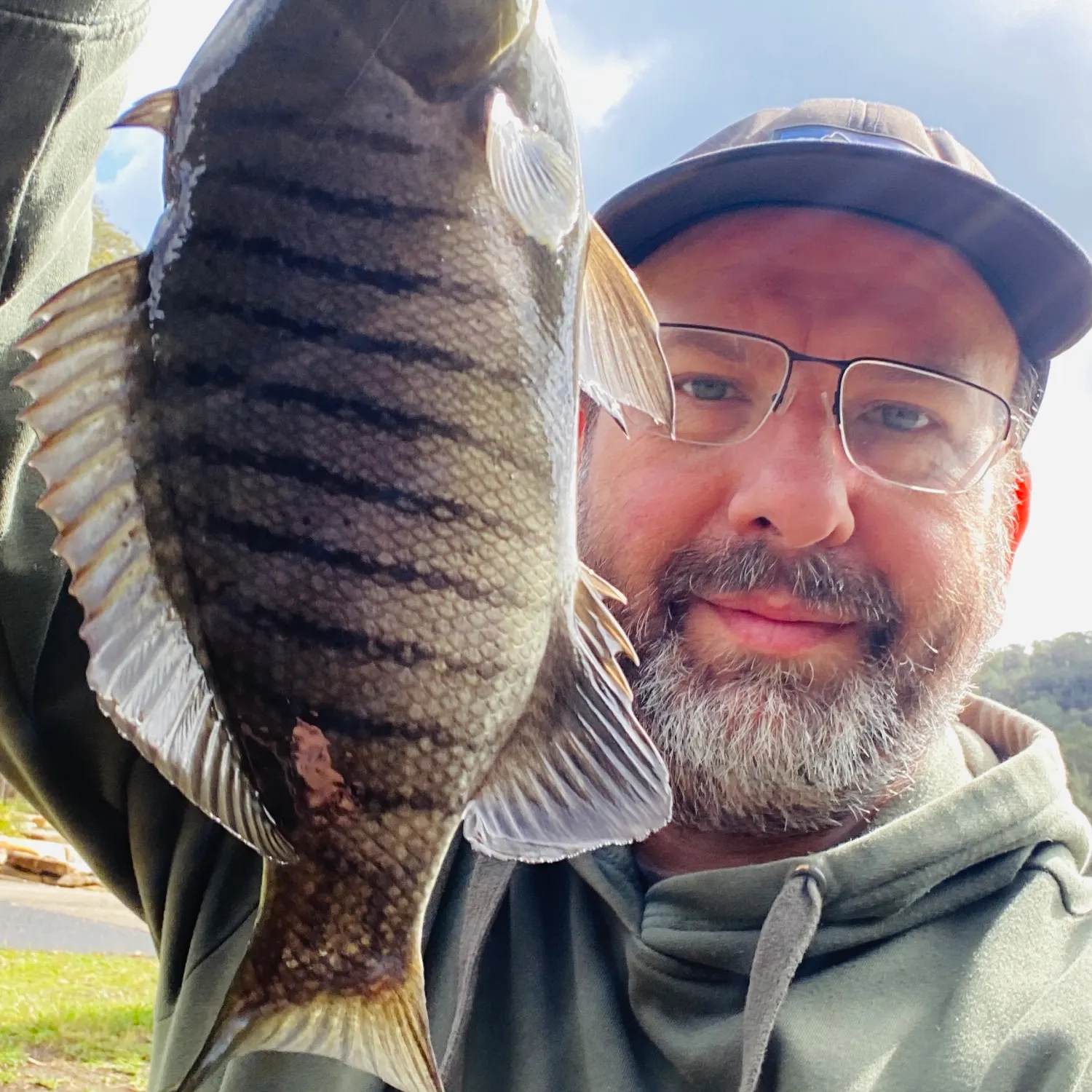 Luderick caught on Fishbrain