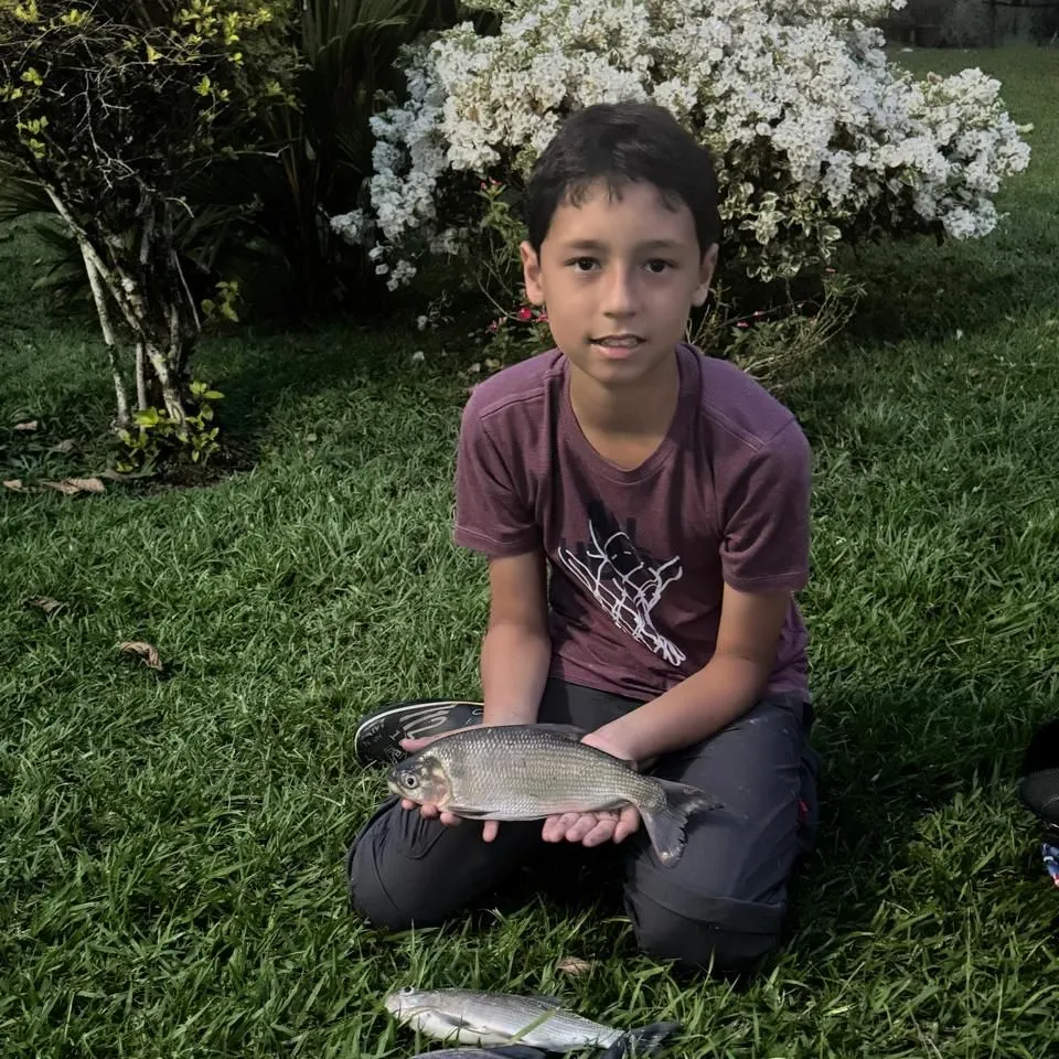 The most recent Dorada catches on Fishbrain