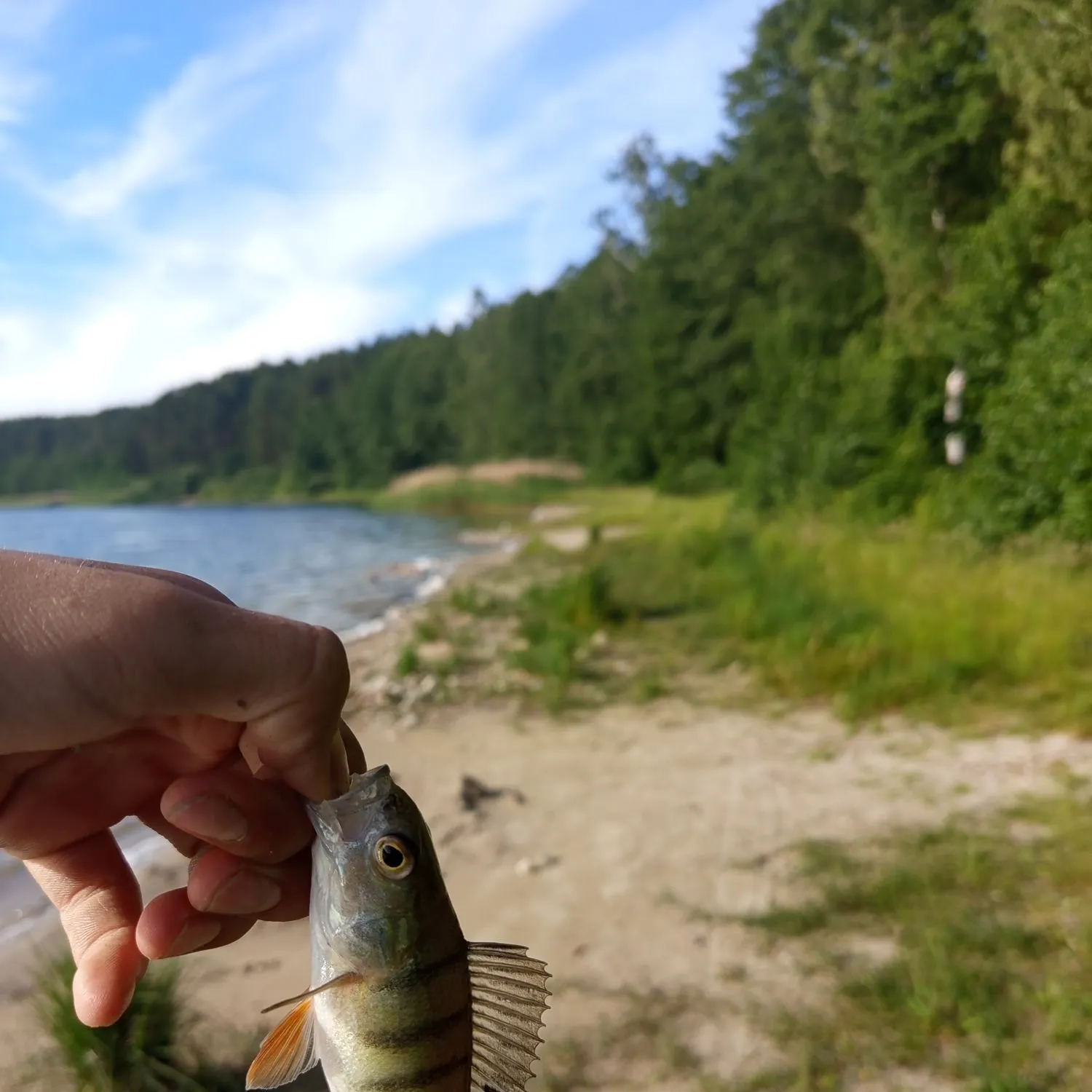 catch