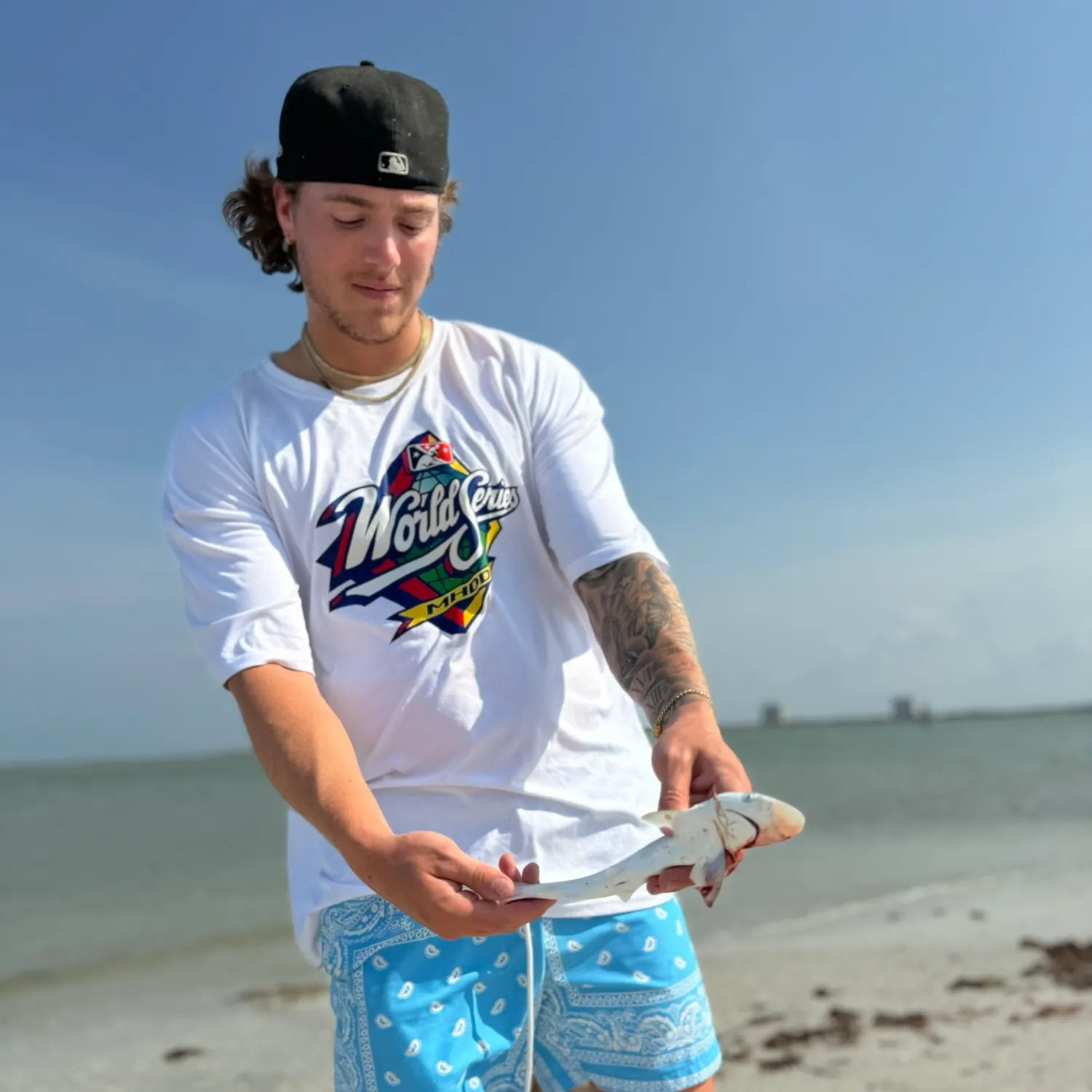 The most recent Blacktip shark catches on Fishbrain