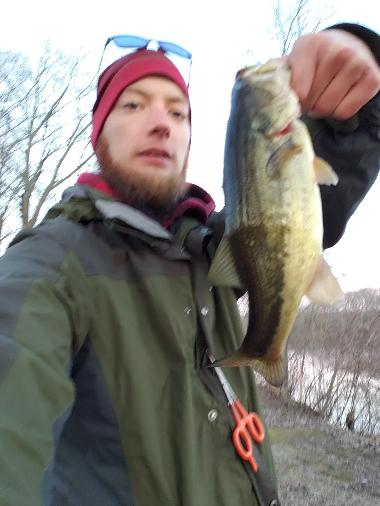 Post image from Traloneous