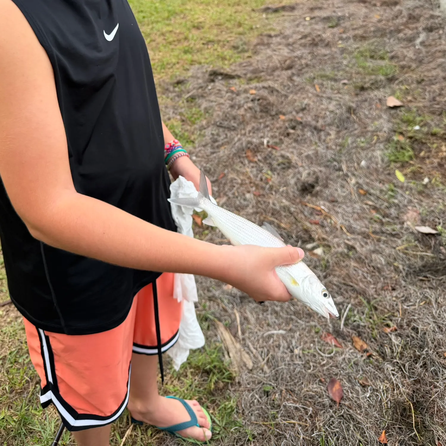 The most recent West Atlantic bonefish catches on Fishbrain