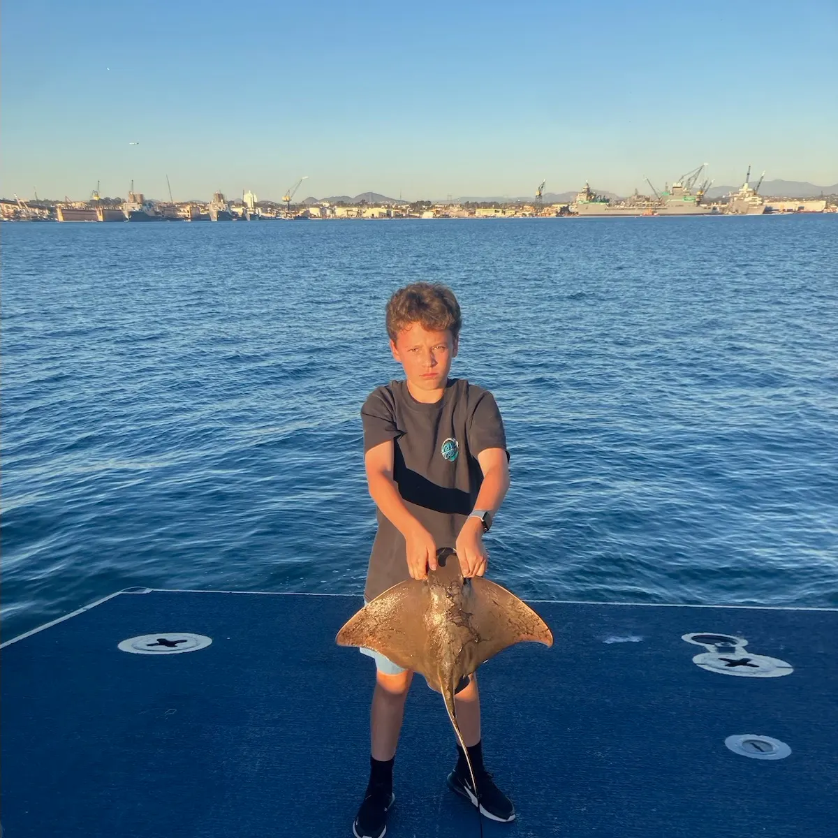 The most recent Bat eagle ray catches on Fishbrain
