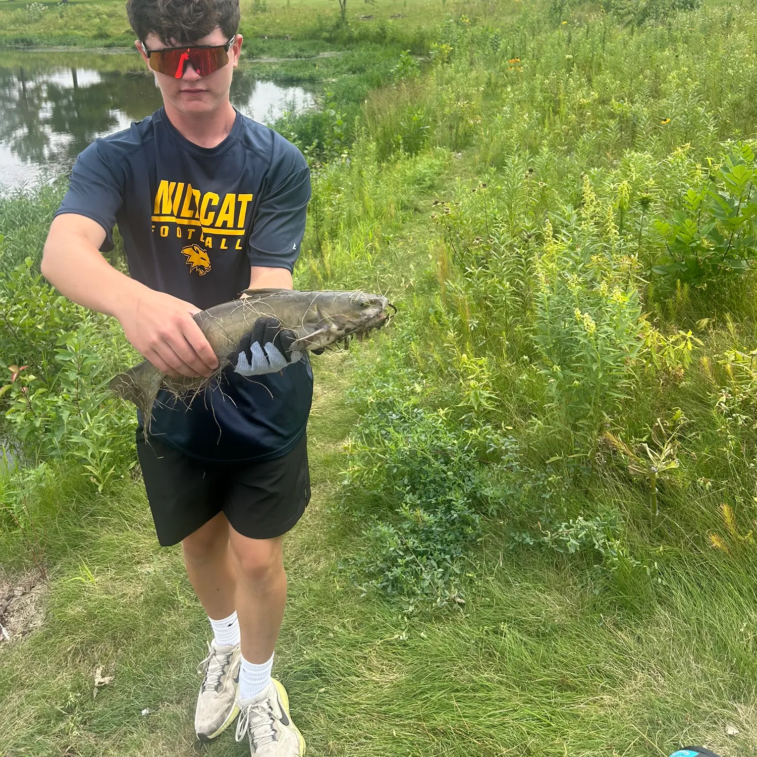 Channel catfish caught on Fishbrain