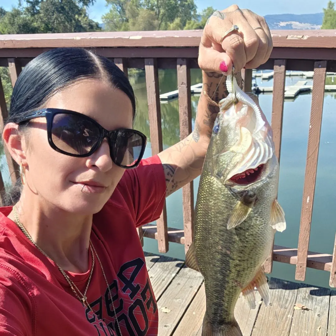 Fish caught on Fishbrain