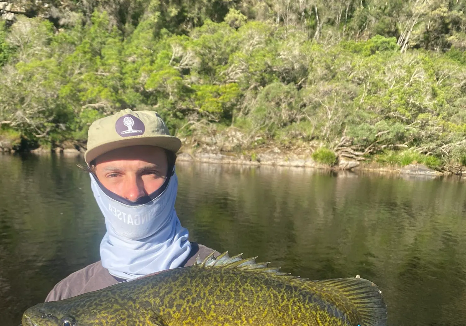 Clarence River cod