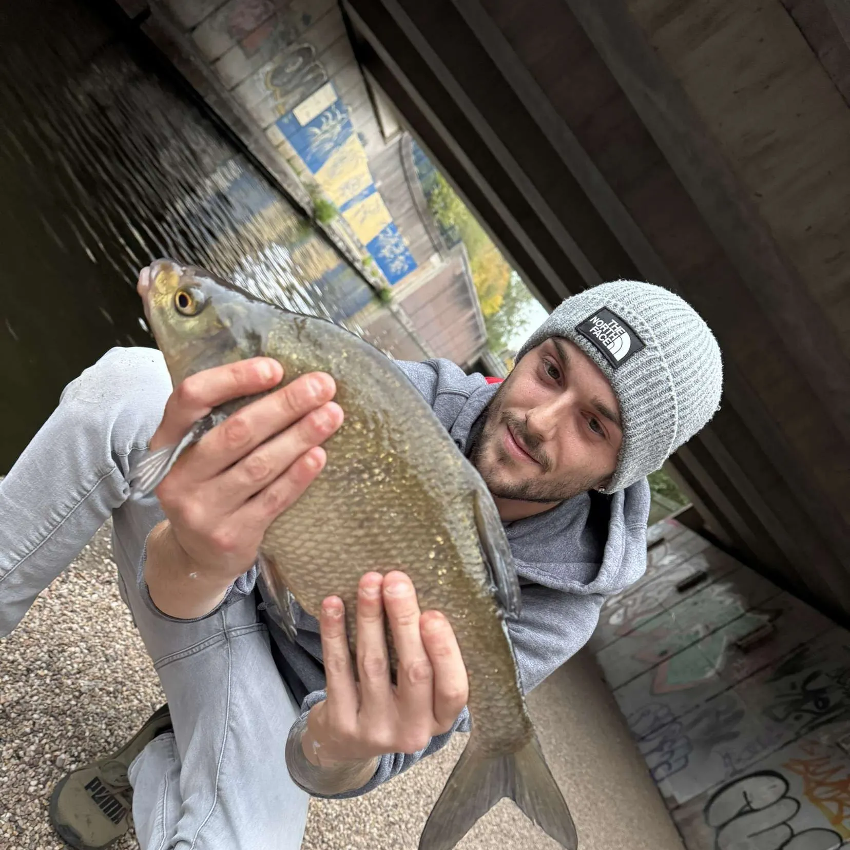 The most recent Common bream catches on Fishbrain