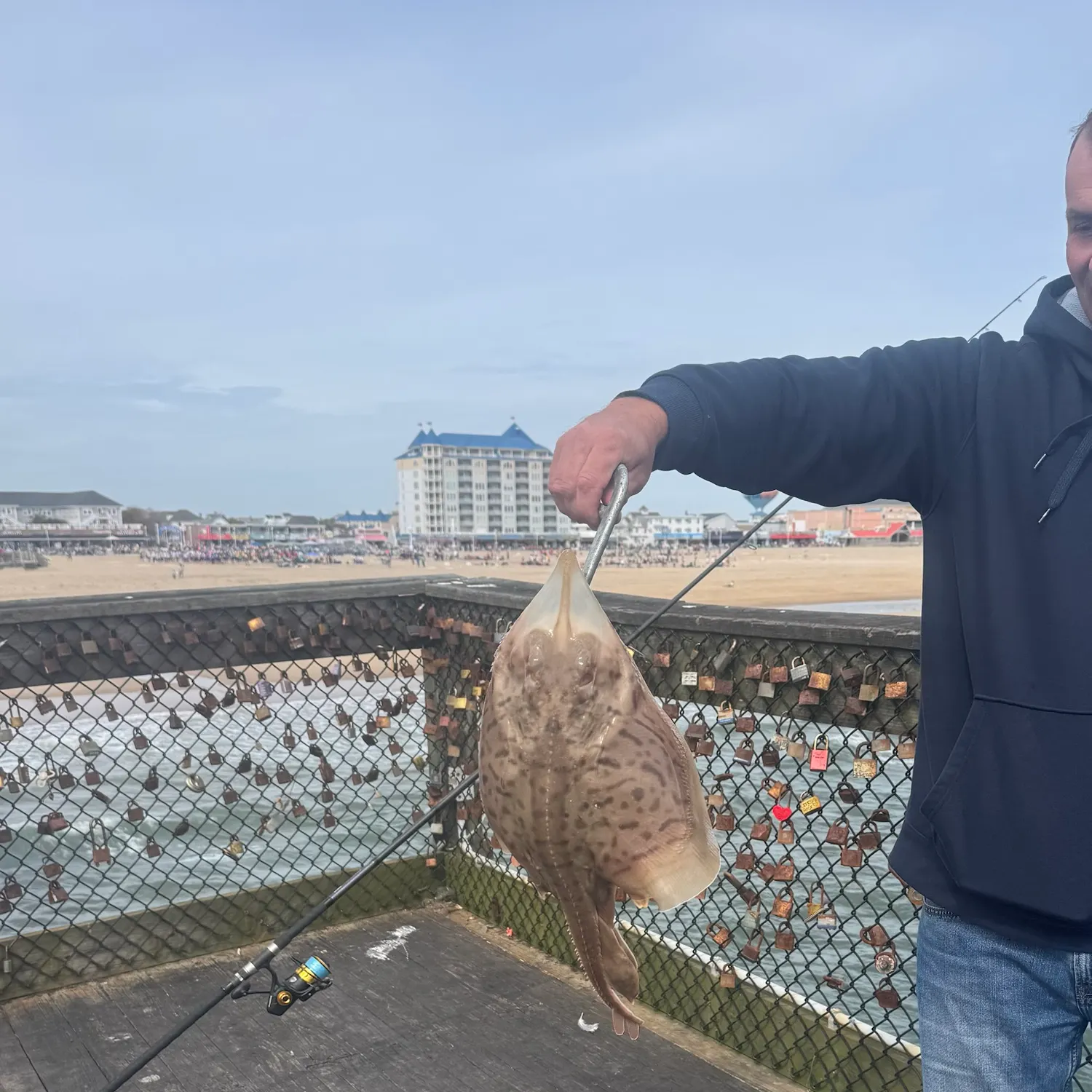 The most recent Clearnose skate catches on Fishbrain