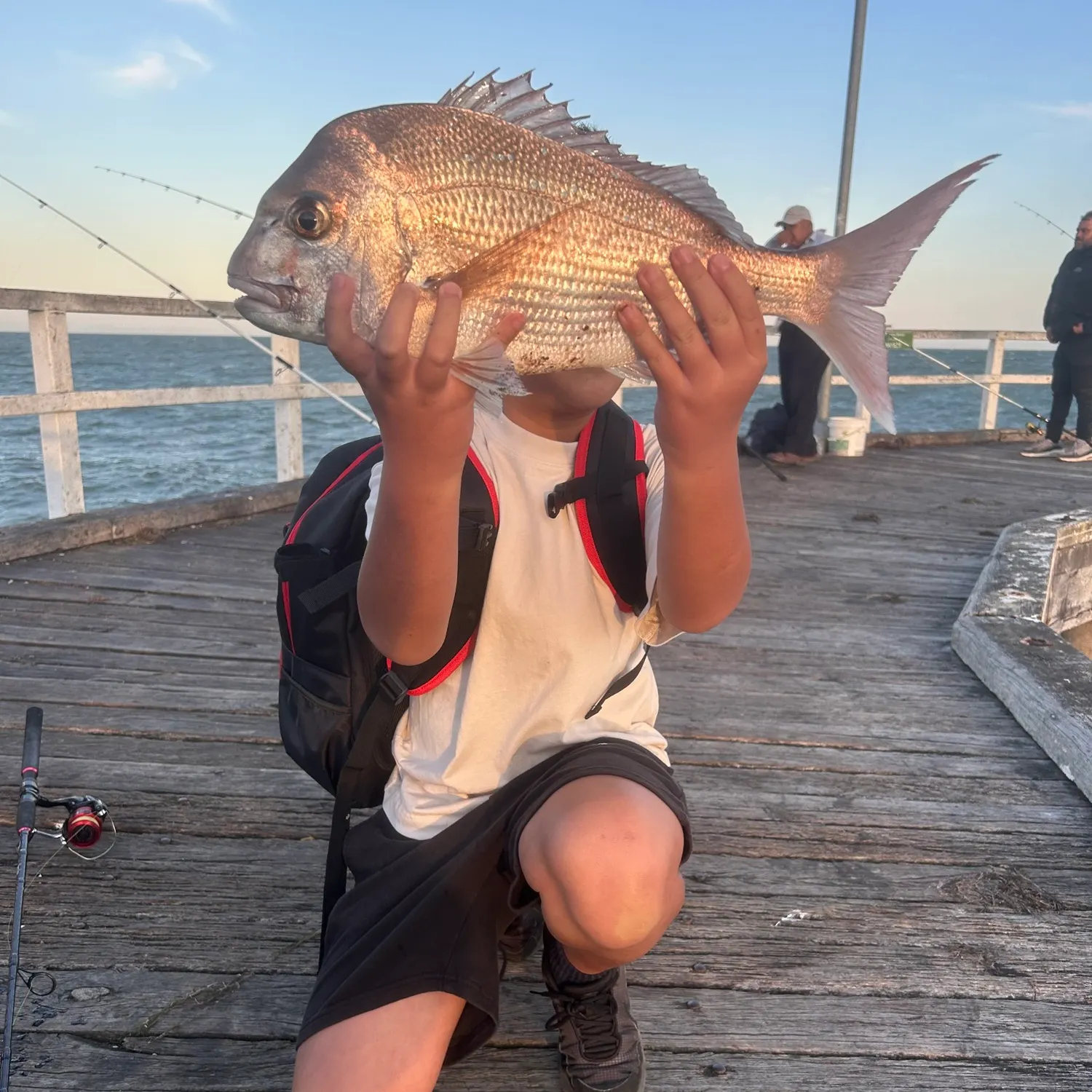 The most recent Australasian snapper catches on Fishbrain