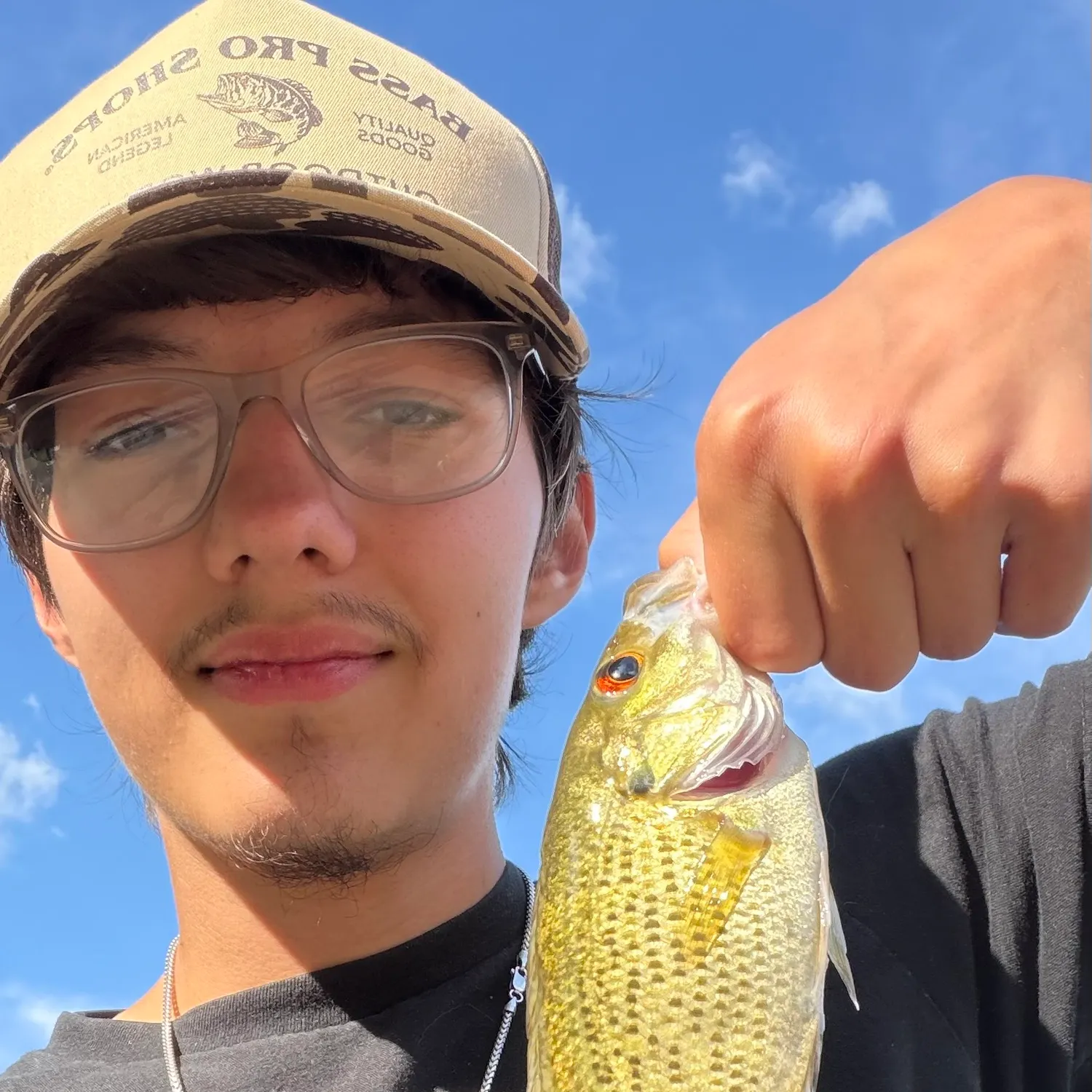 Rock bass caught on Fishbrain