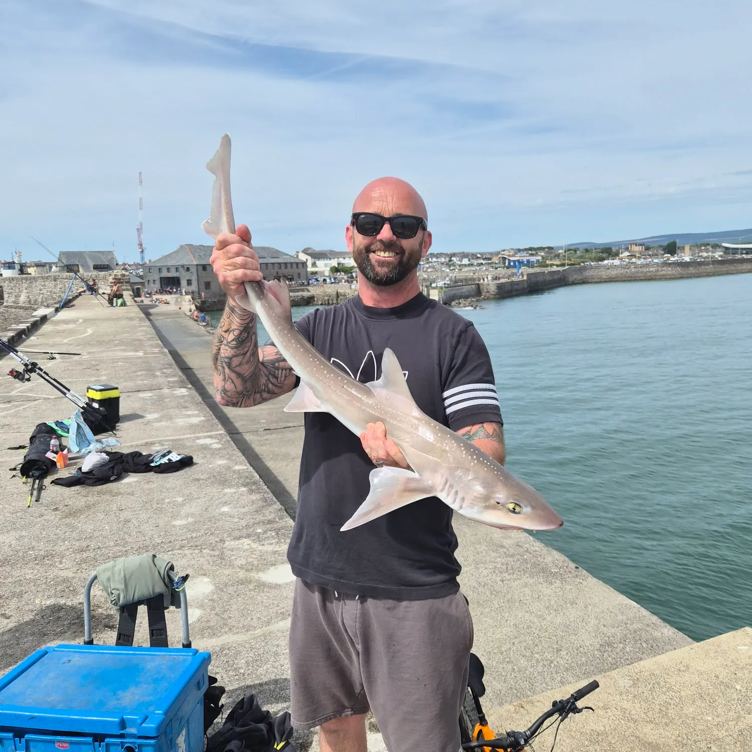The most recent Starry smooth-hound catches on Fishbrain