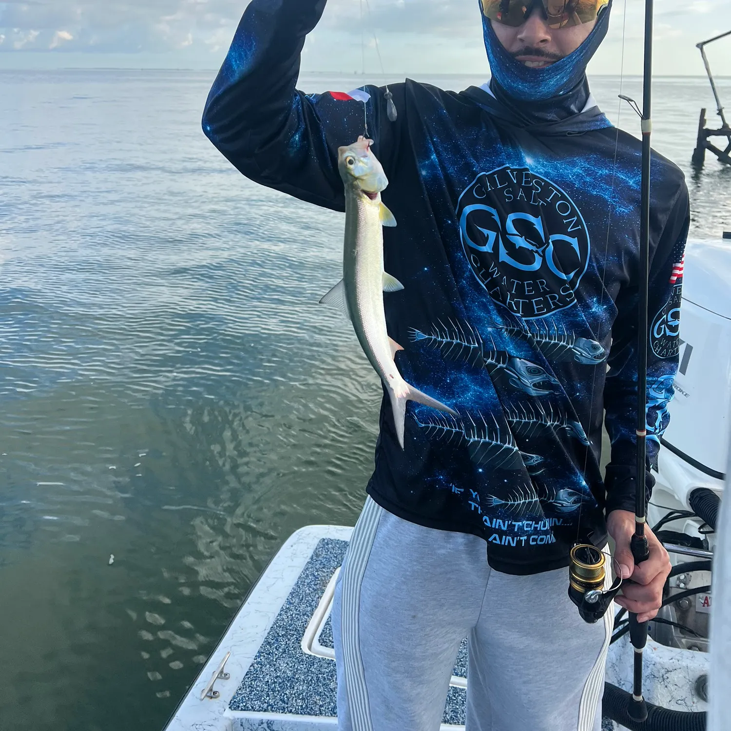 Ladyfish caught on Fishbrain