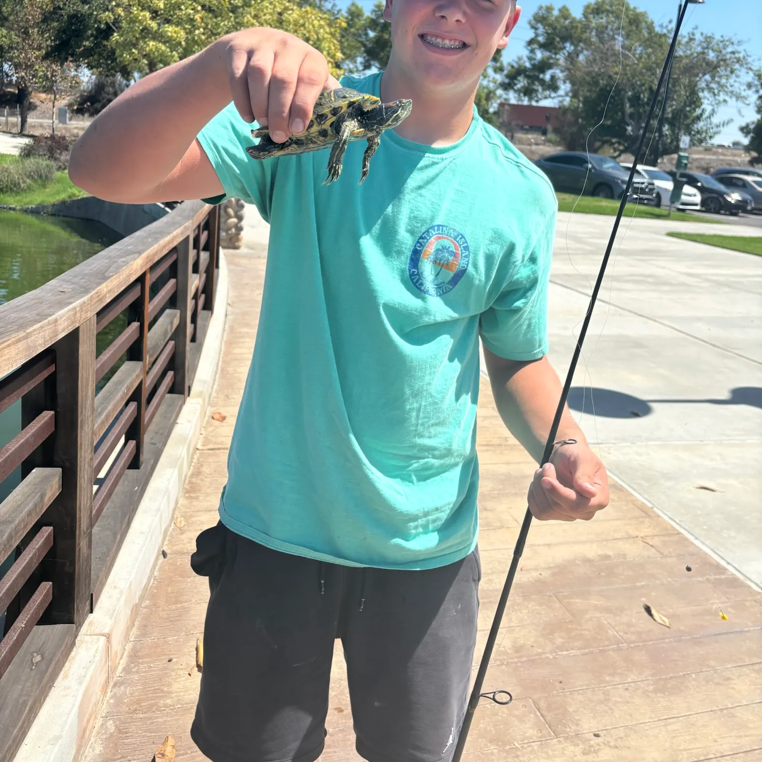 Pond slider turtle caught on Fishbrain
